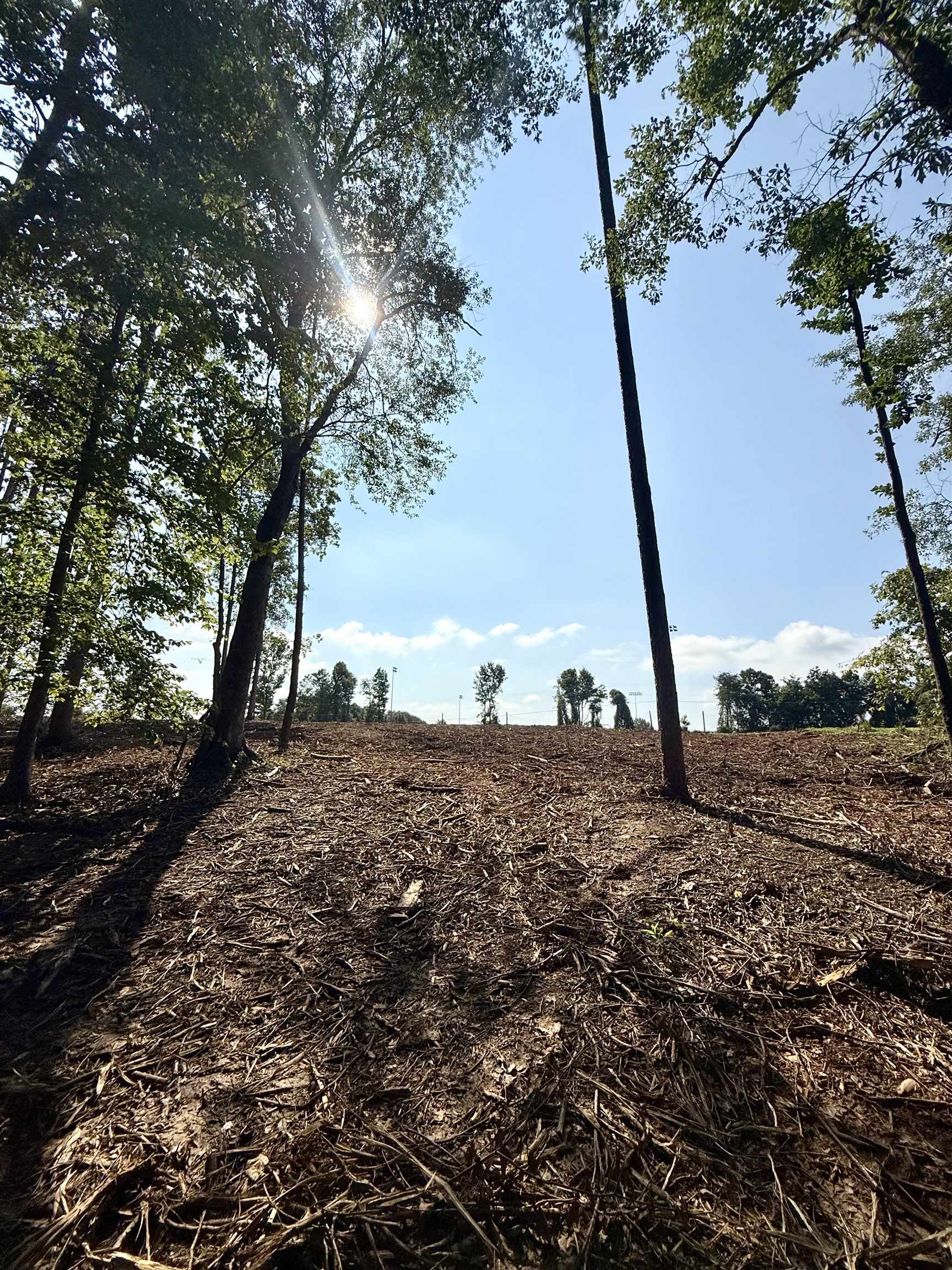 327908 Property Photo 22