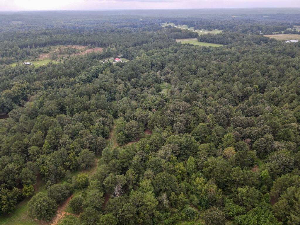 327935 Property Photo 11