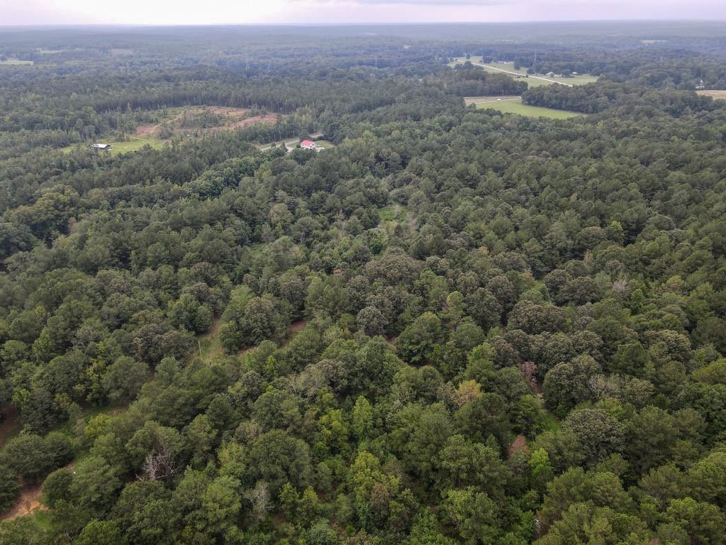 327935 Property Photo 13