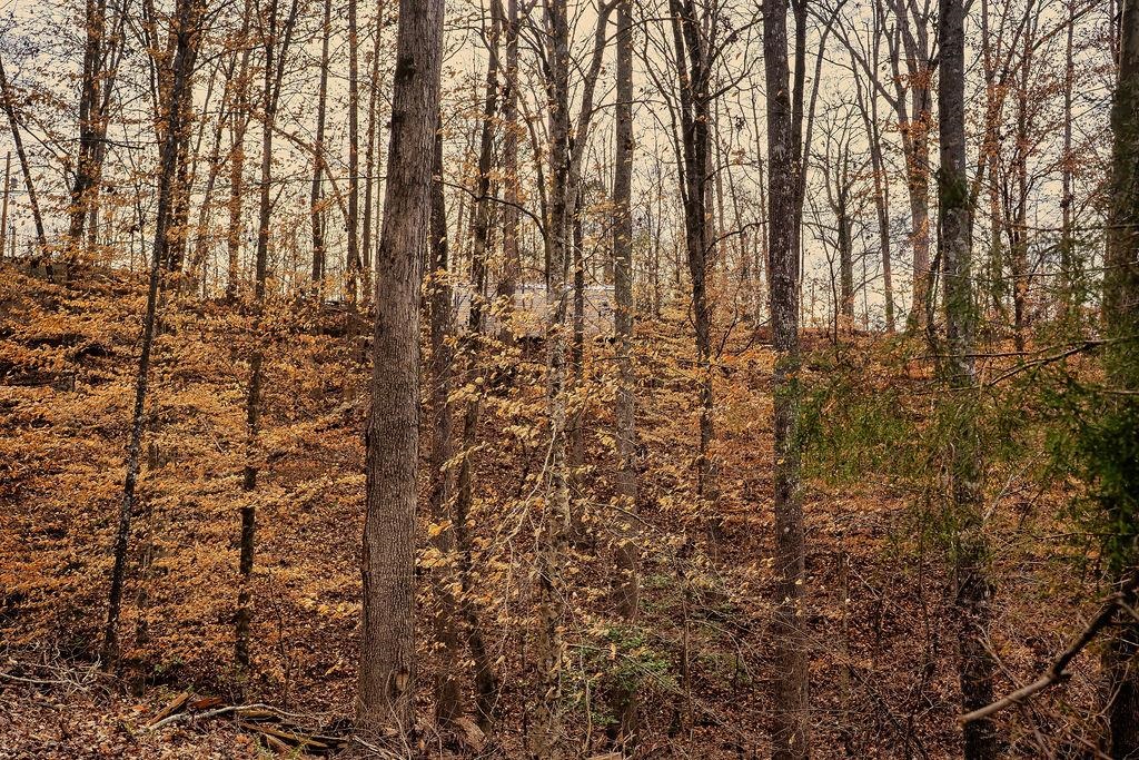 327996 Property Photo 2