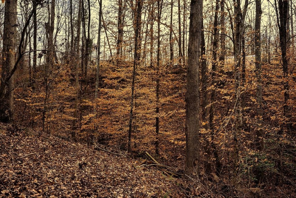 327996 Property Photo 3