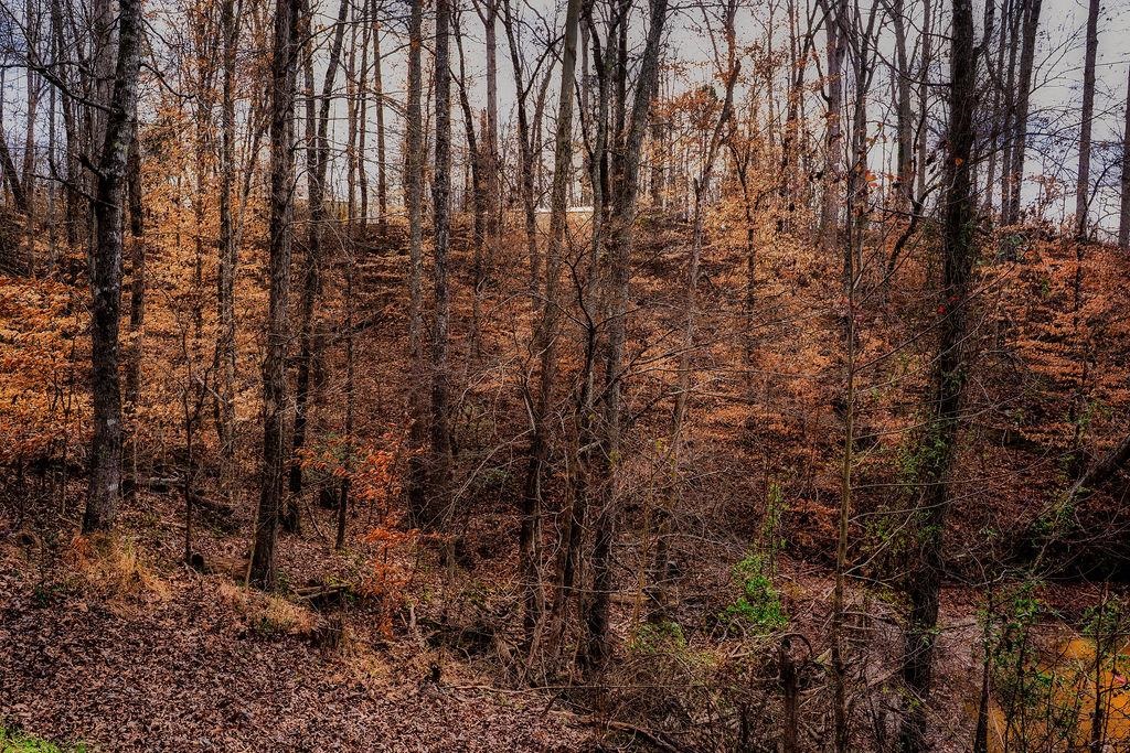 327996 Property Photo 4