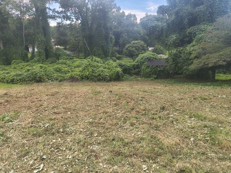 328117 Property Photo 4