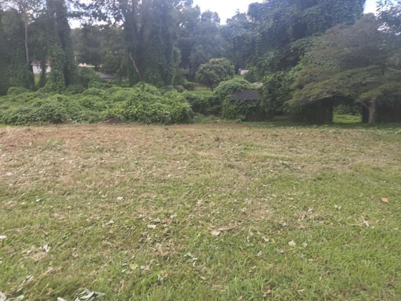 328117 Property Photo 7