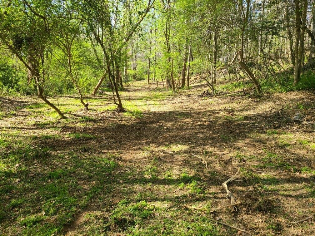 10938 Reidville Road Property Photo 49