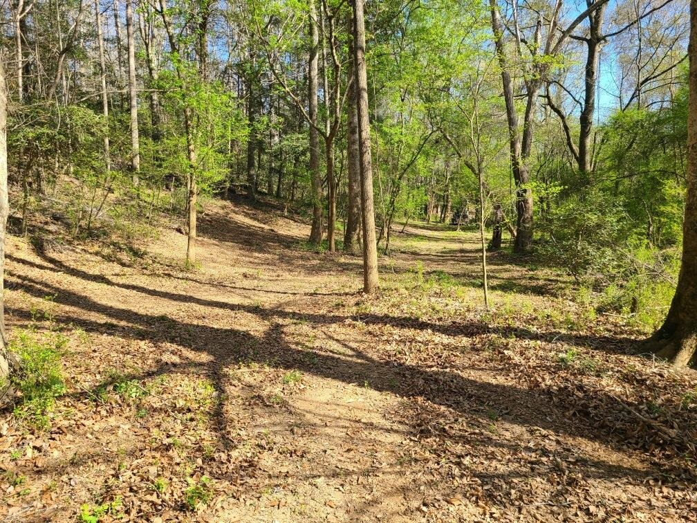 10938 Reidville Road Property Photo 50