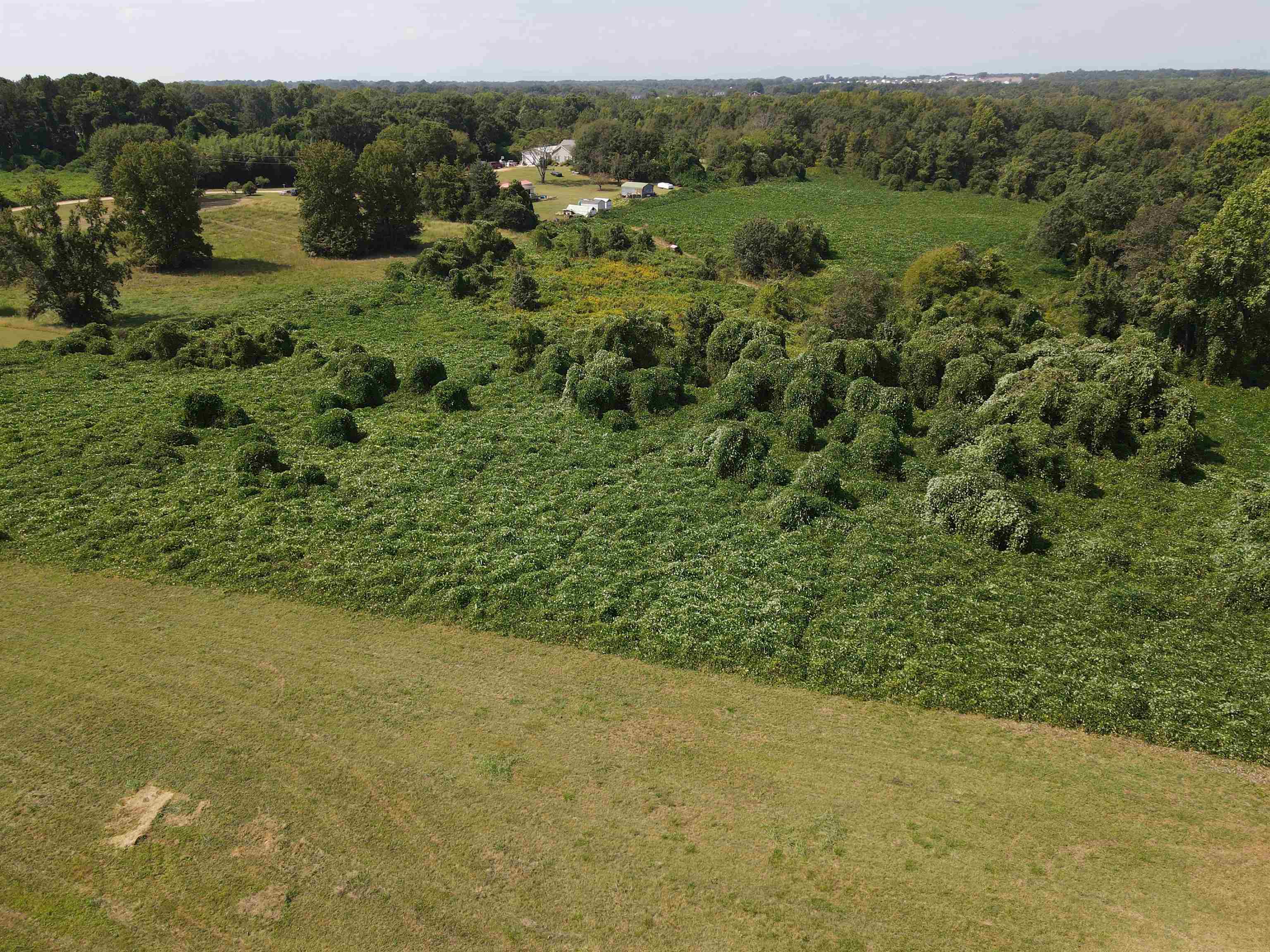 329427 Property Photo 8