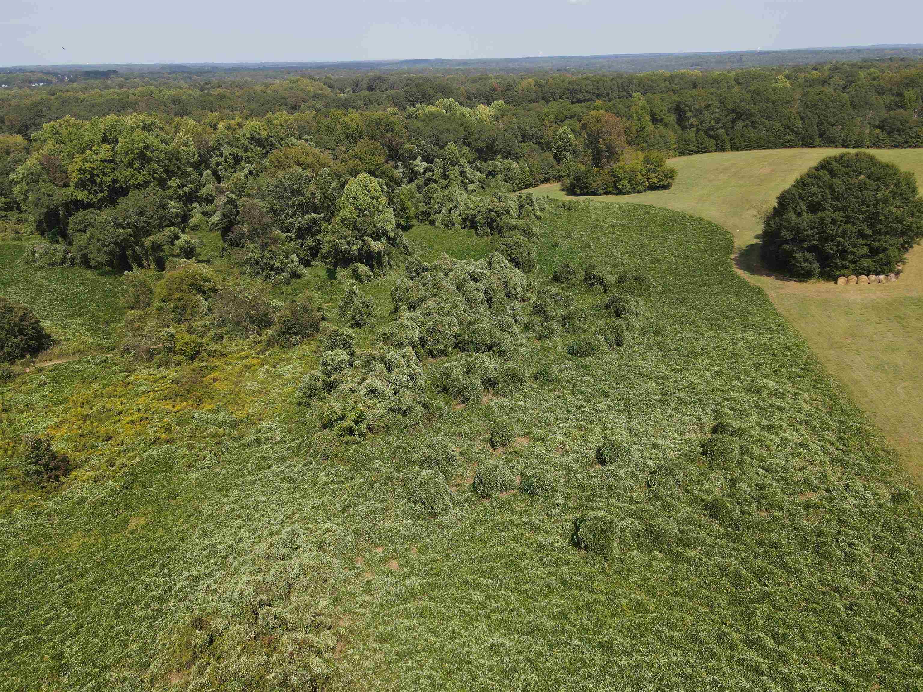 329427 Property Photo 11