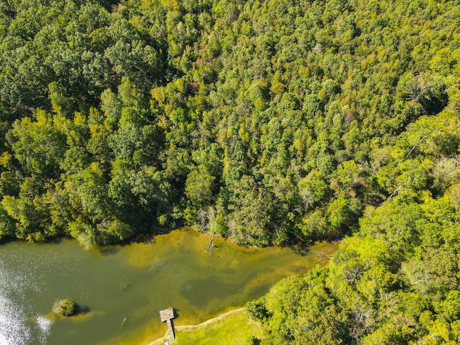 329549 Property Photo 3