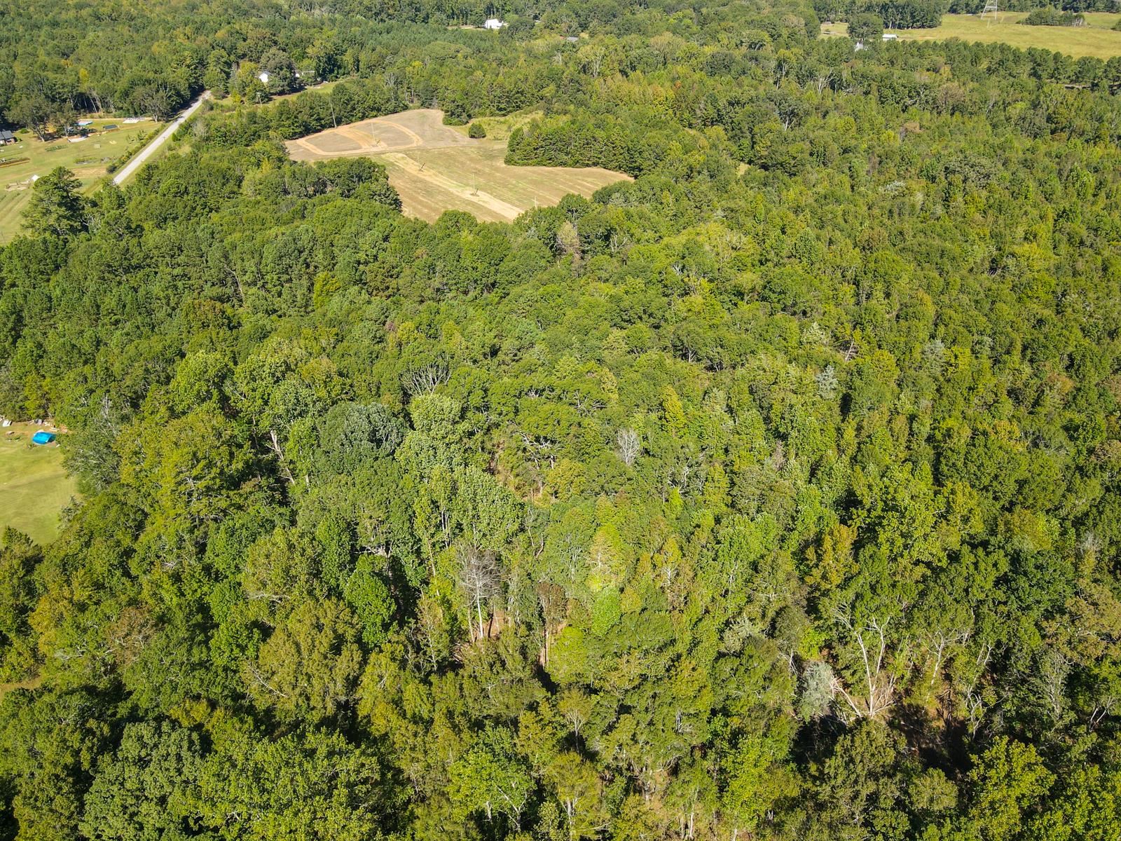 329549 Property Photo 4