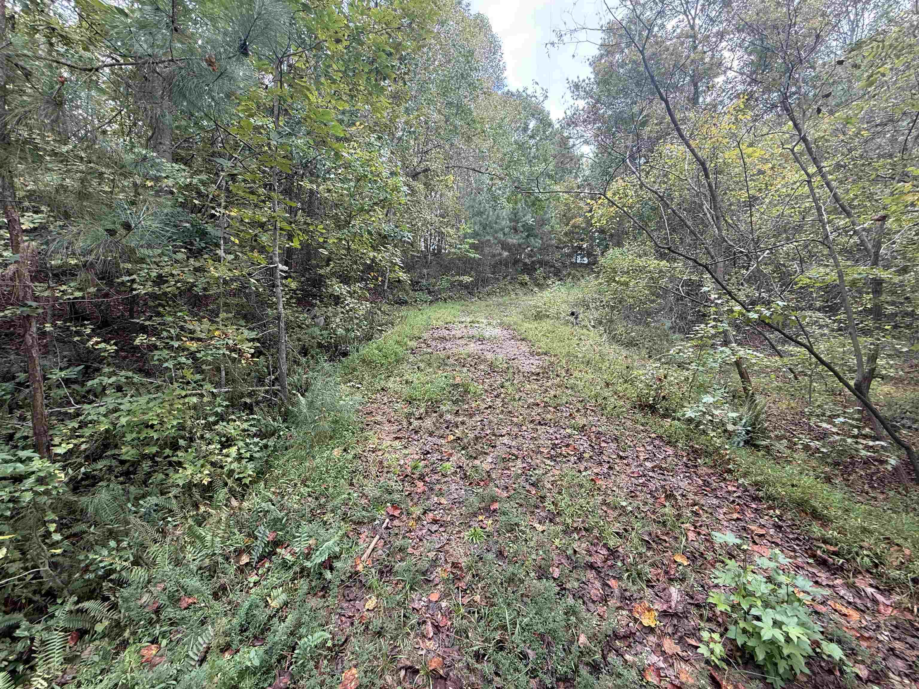 329565 Property Photo 5