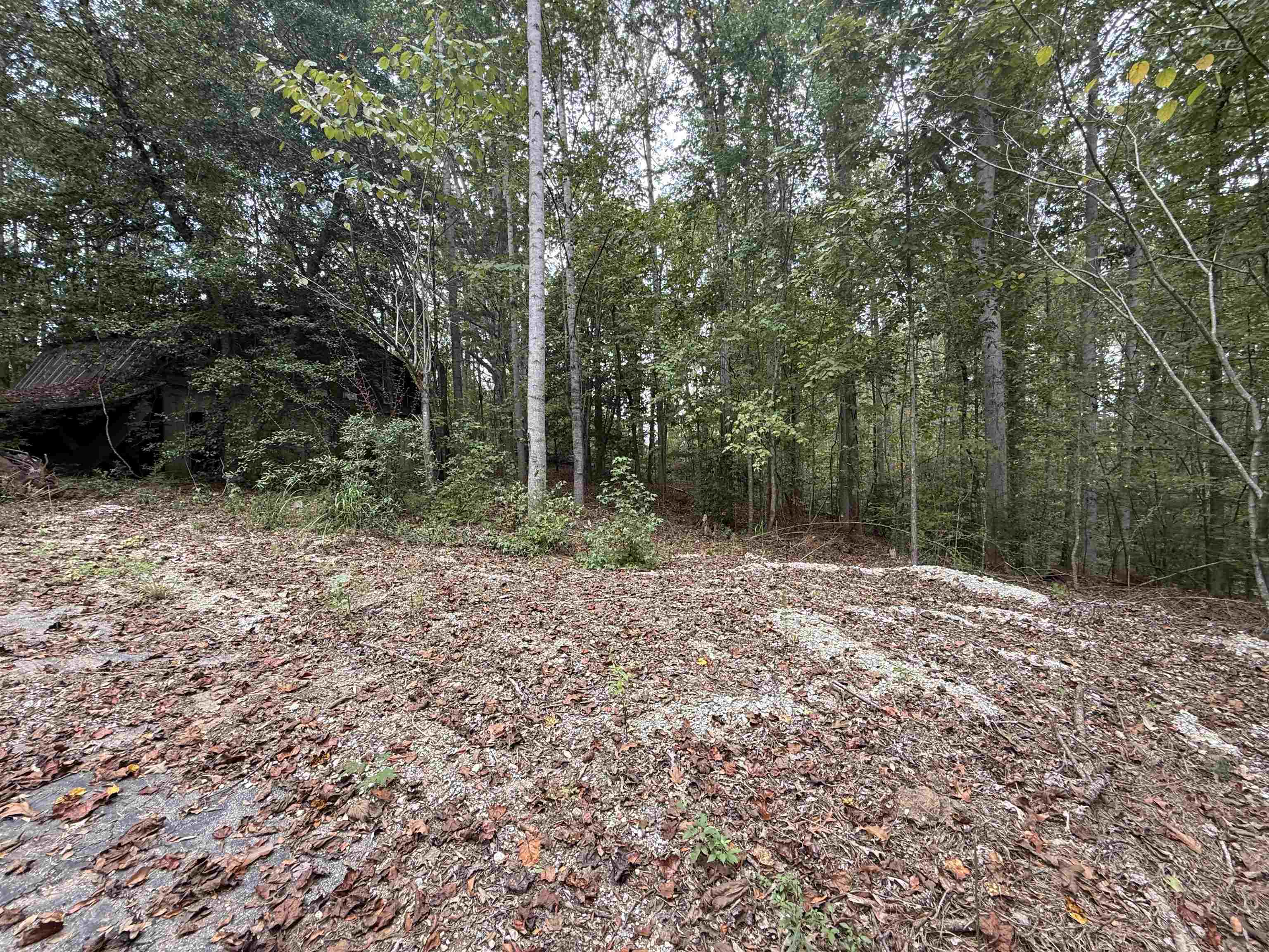 329565 Property Photo 7