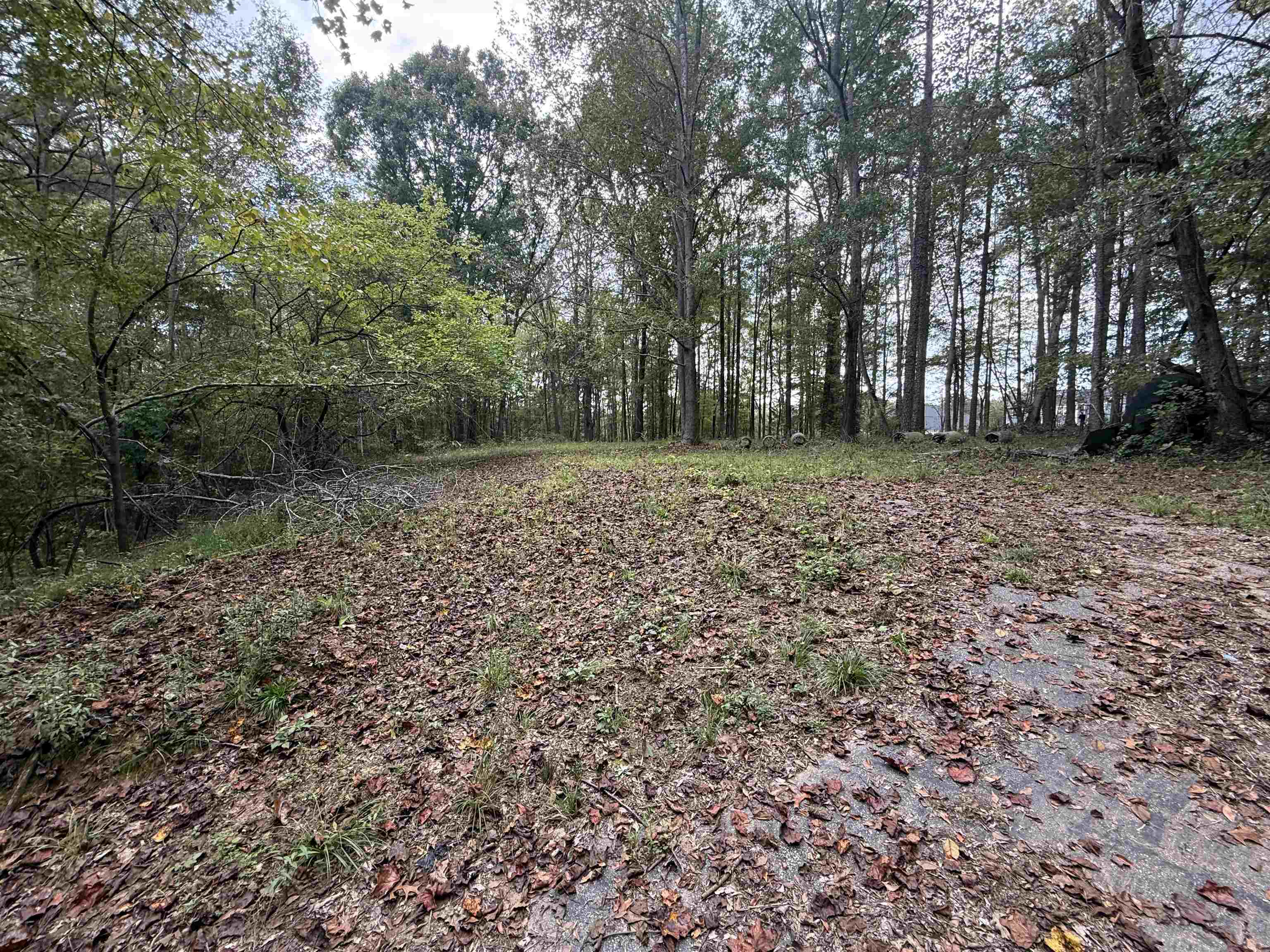329565 Property Photo 9