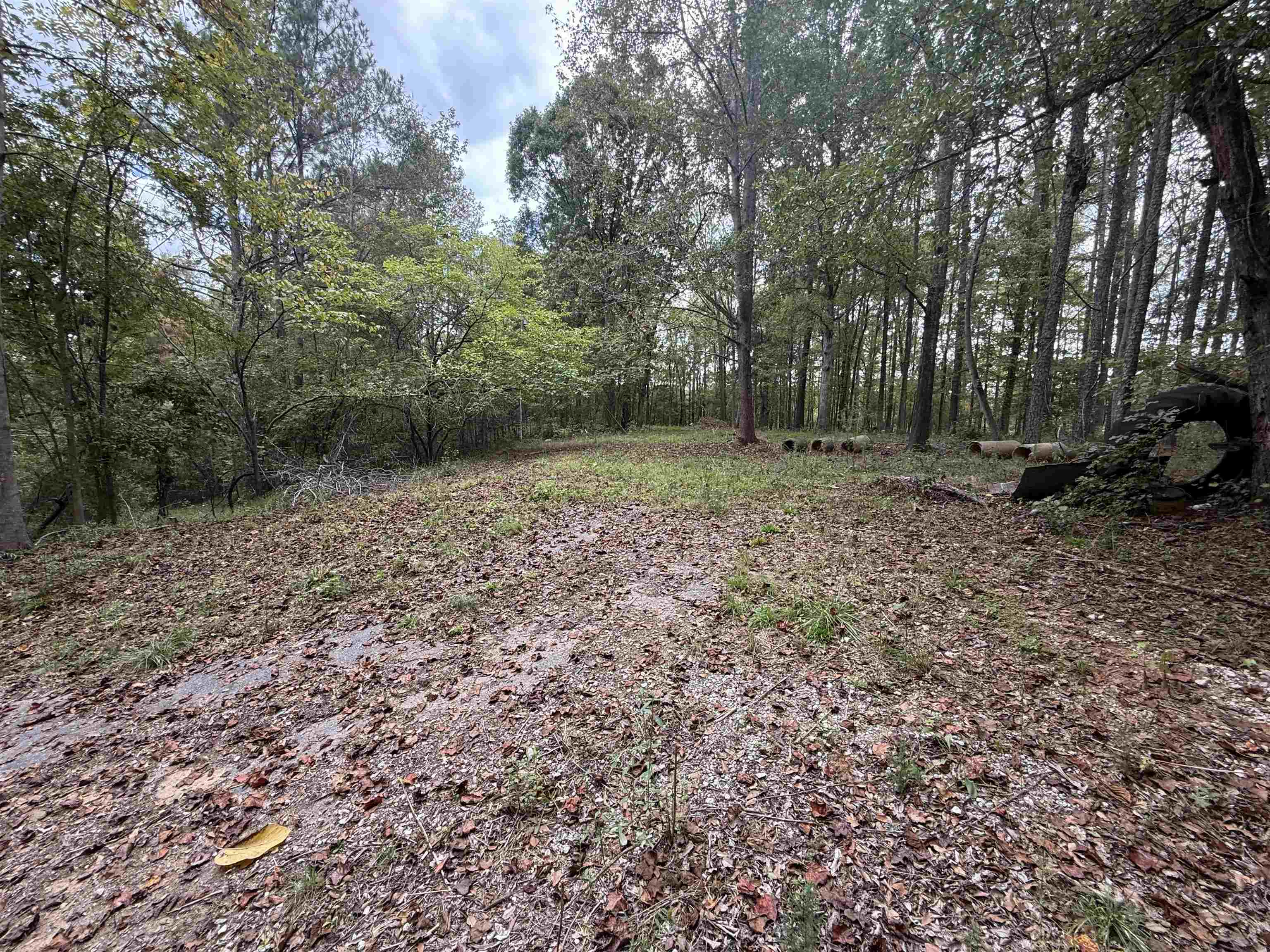 329565 Property Photo 11