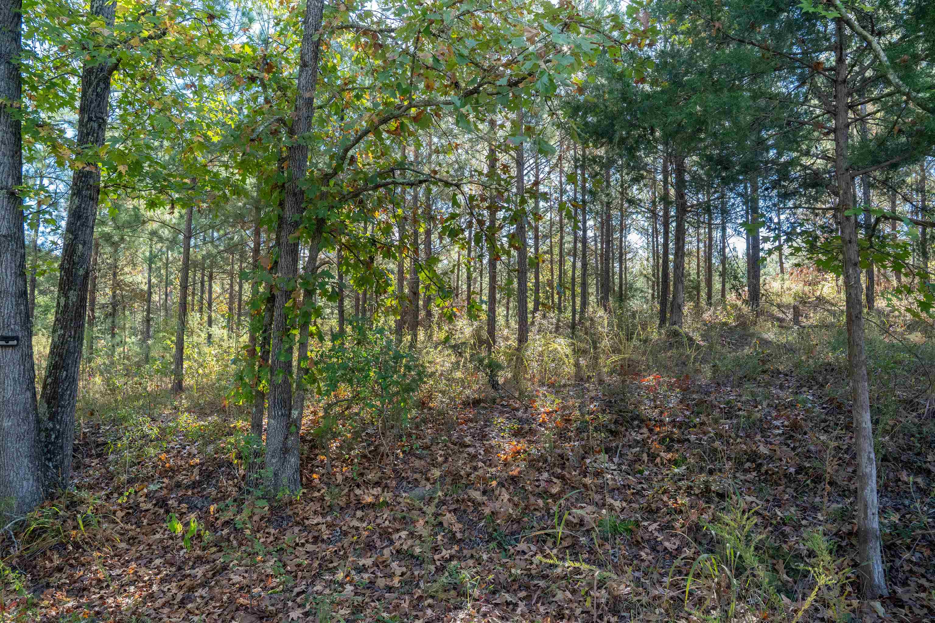 329940 Property Photo 2