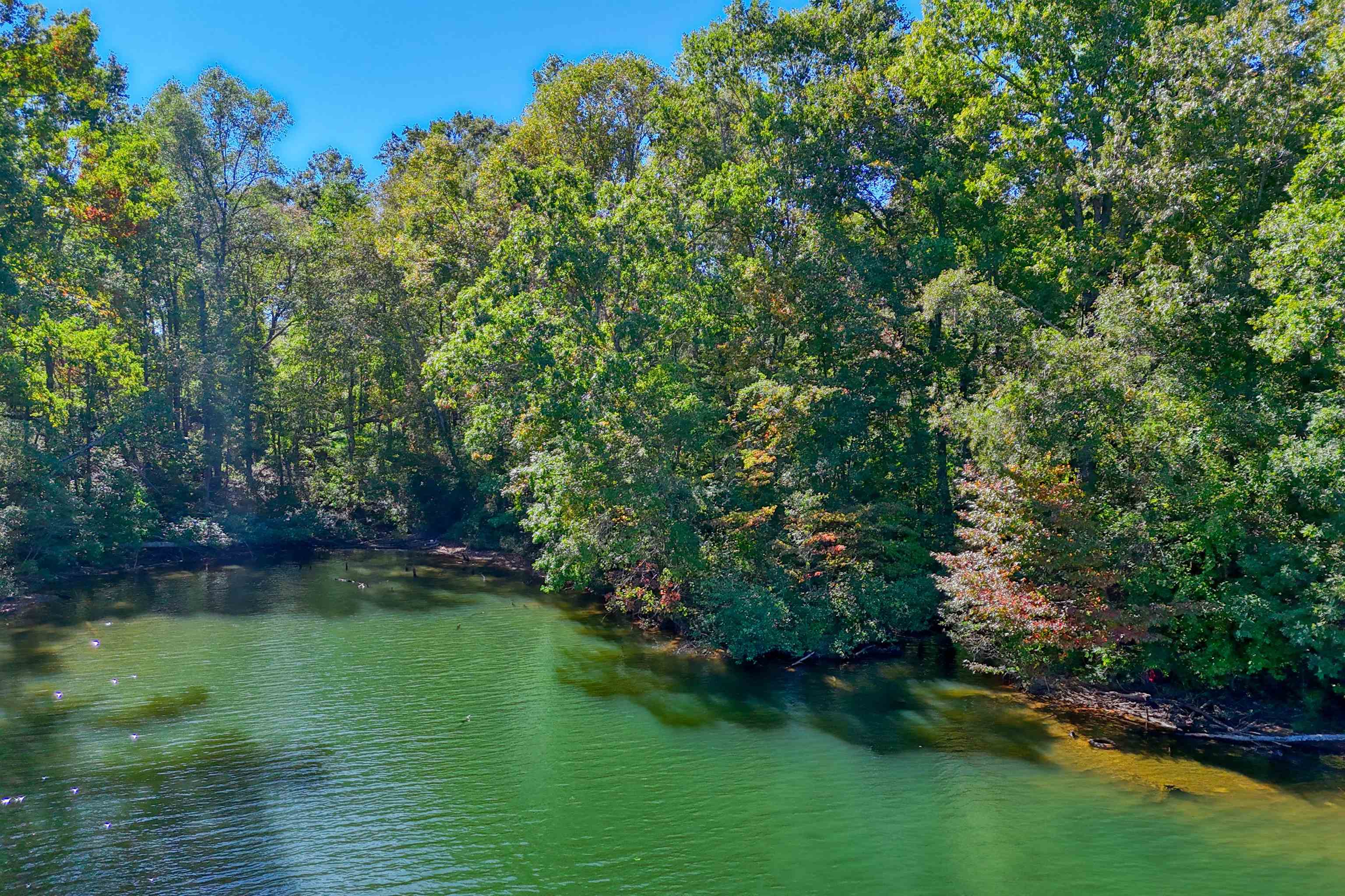 329949 Property Photo 3