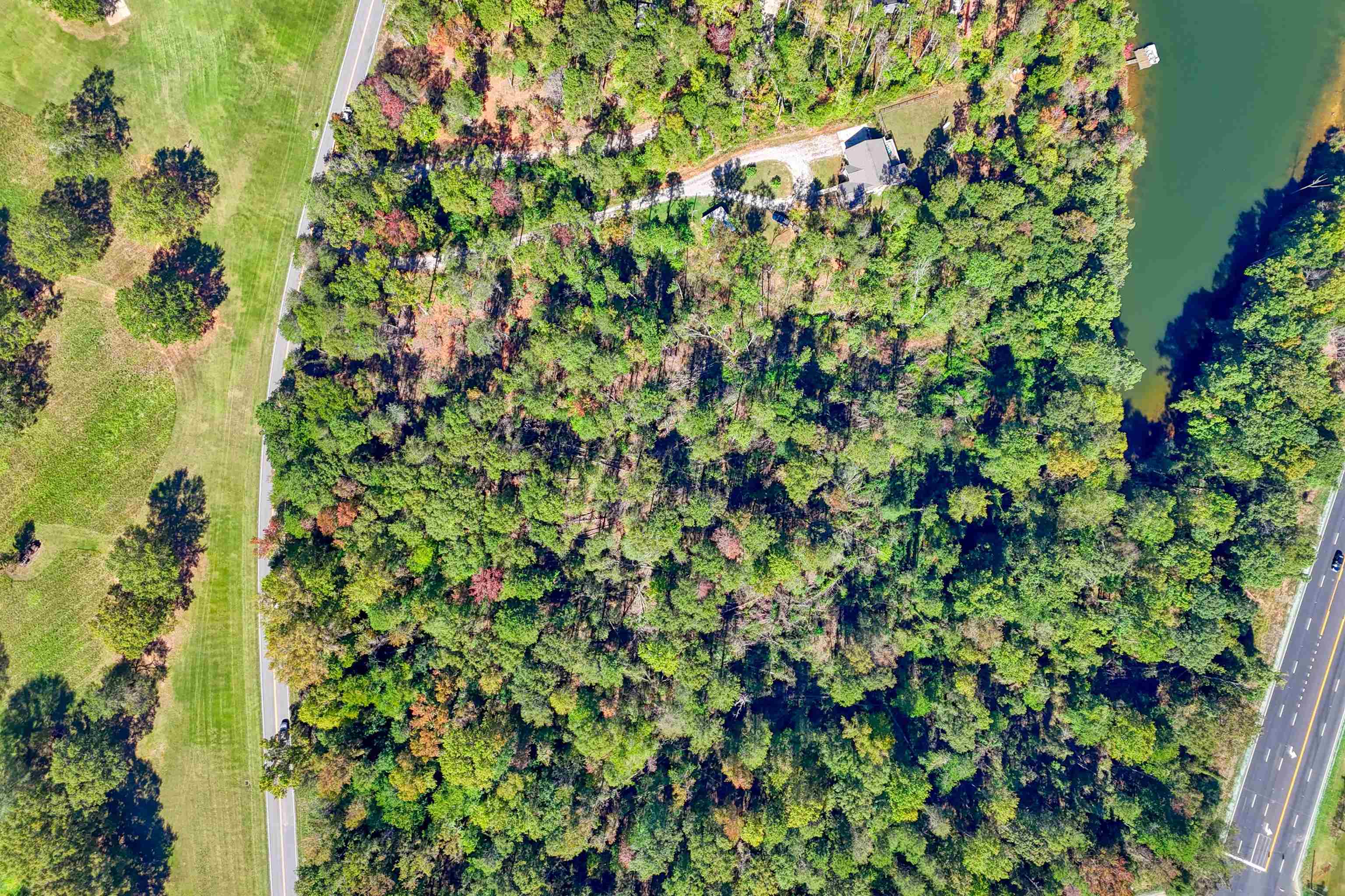 329949 Property Photo 4