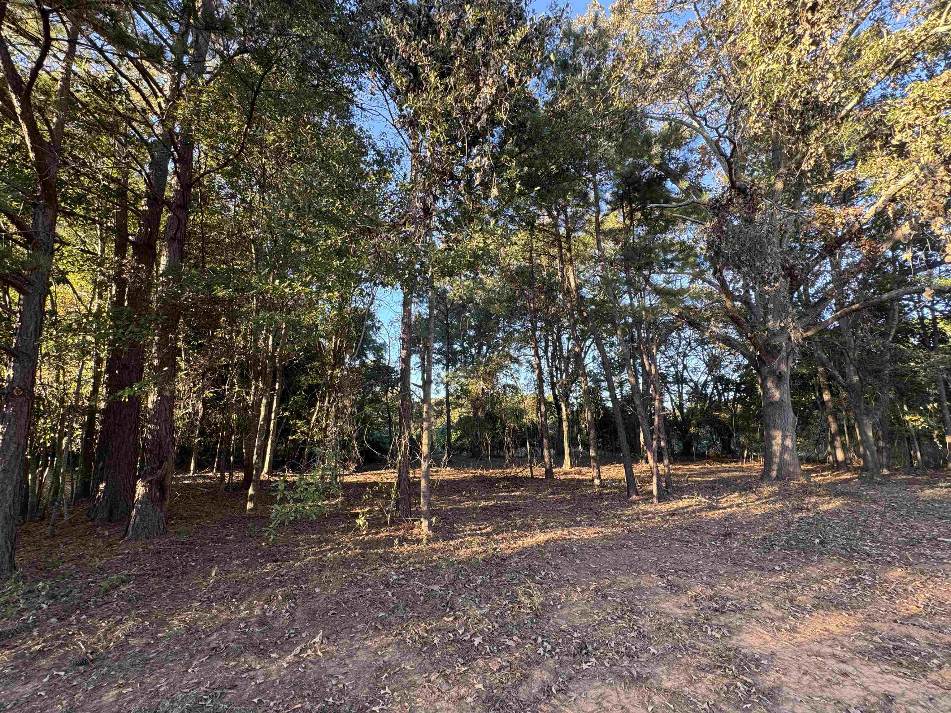 329975 Property Photo 12