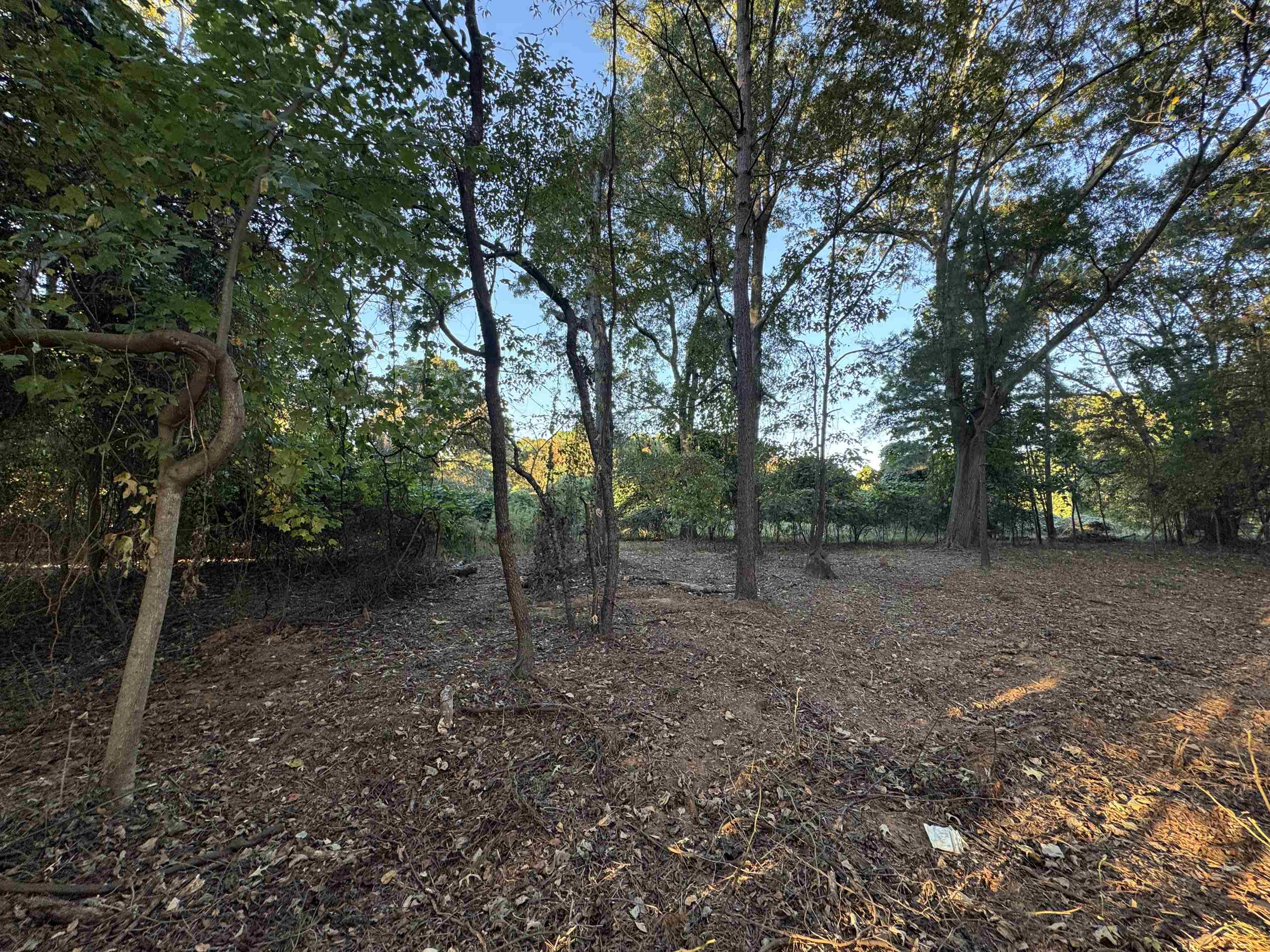 329975 Property Photo 13