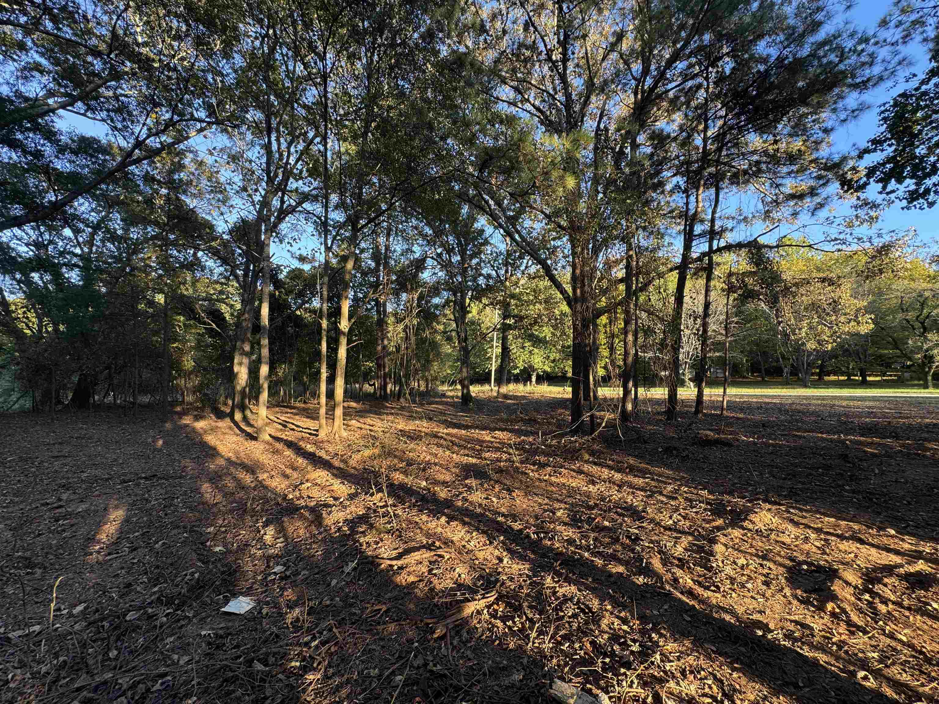 329975 Property Photo 14