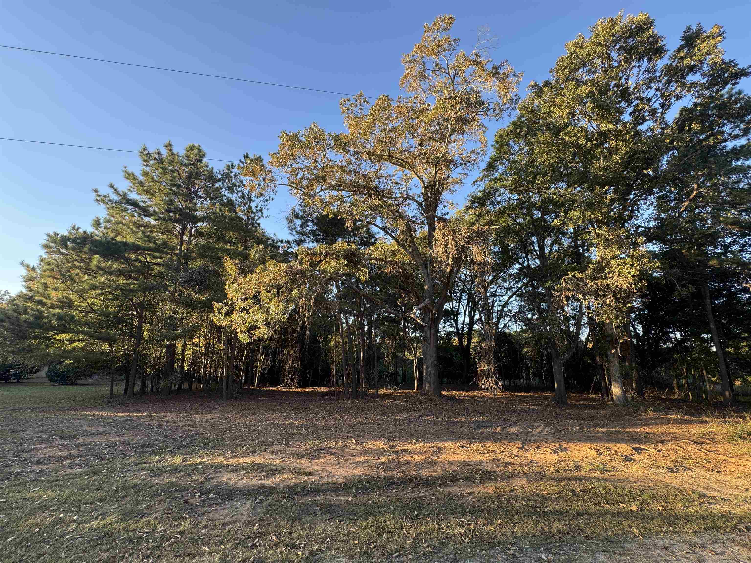 329975 Property Photo 16