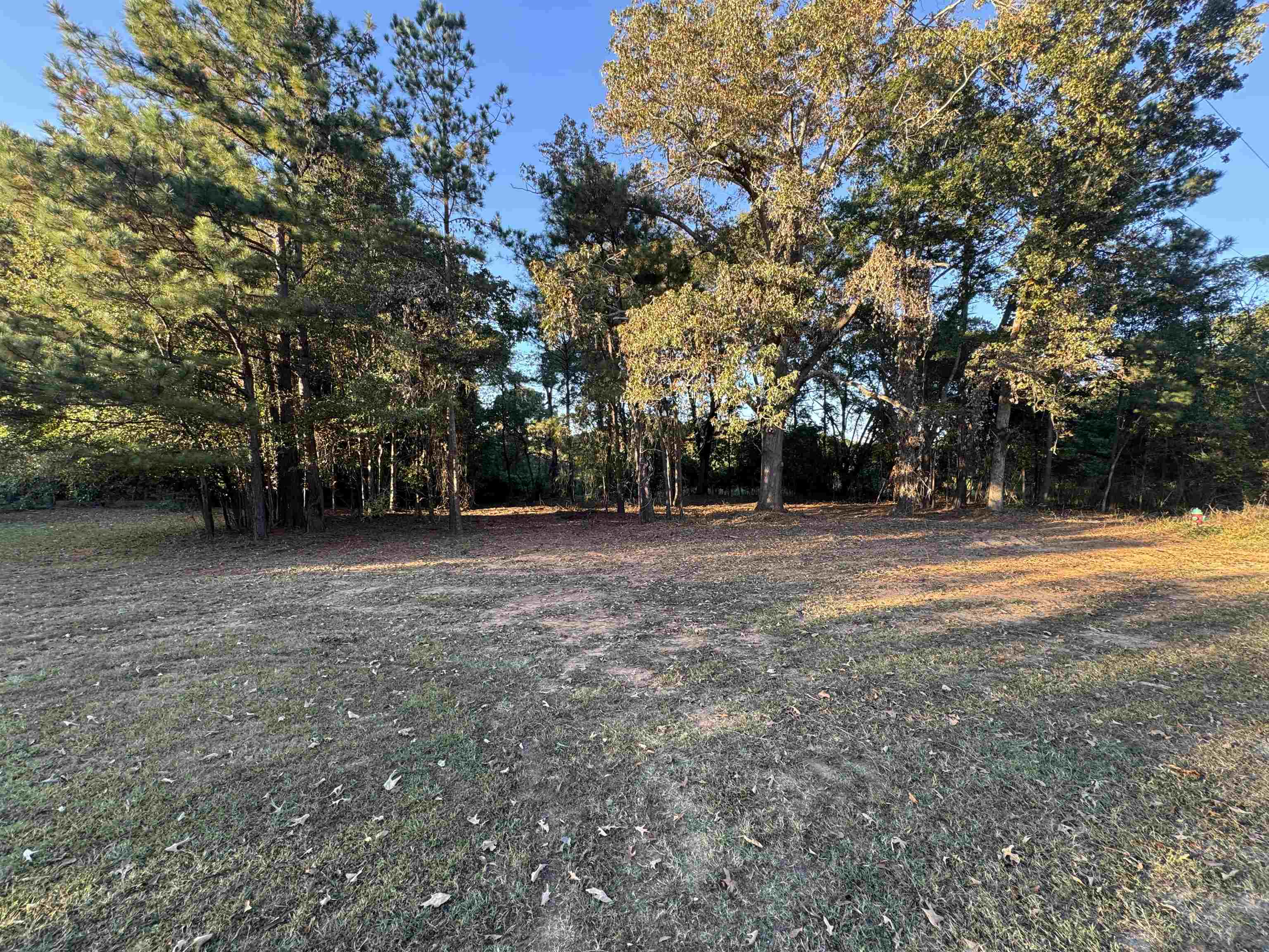 329975 Property Photo 17