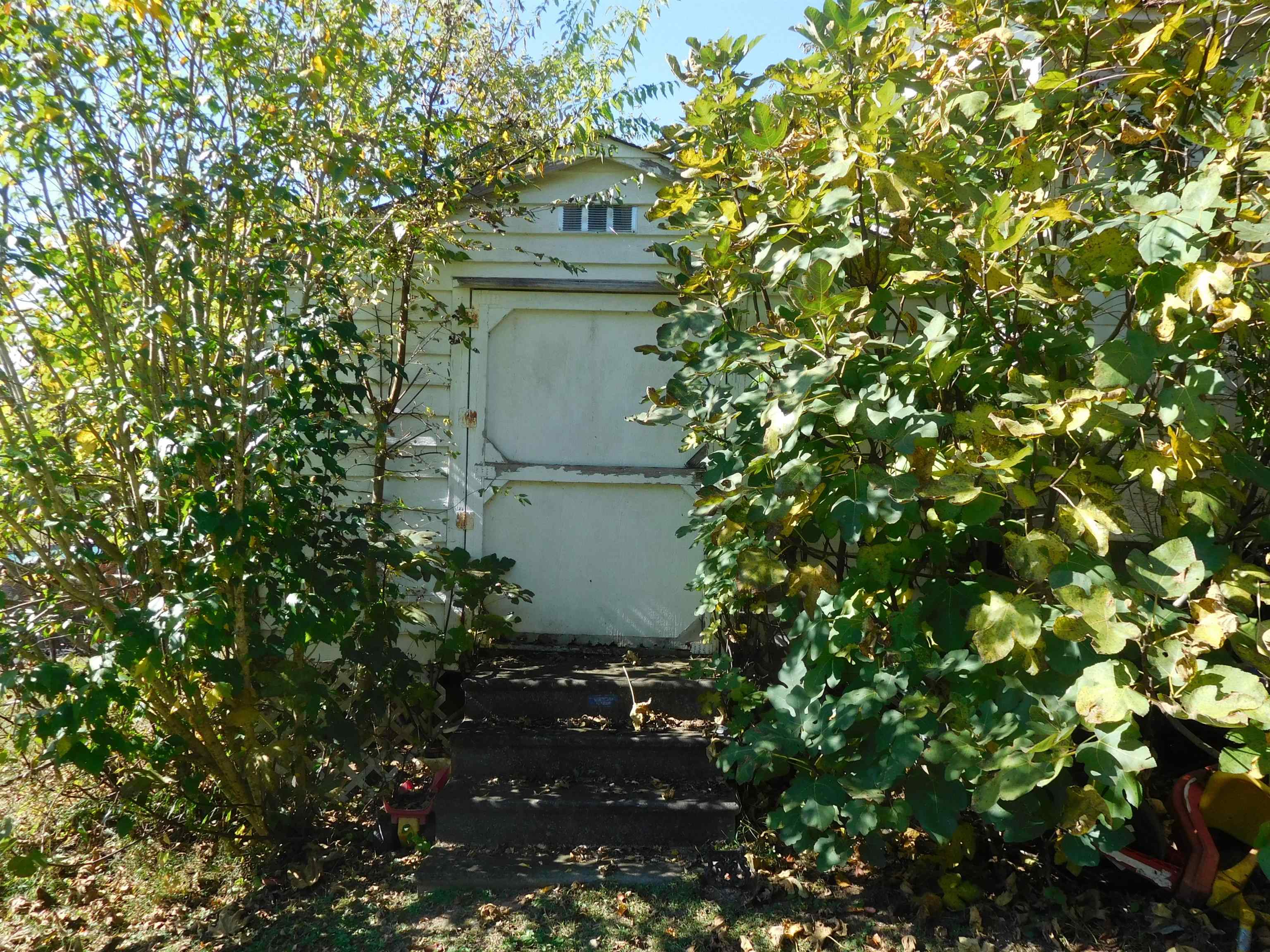 539 Leadmine Road Road Property Photo 24