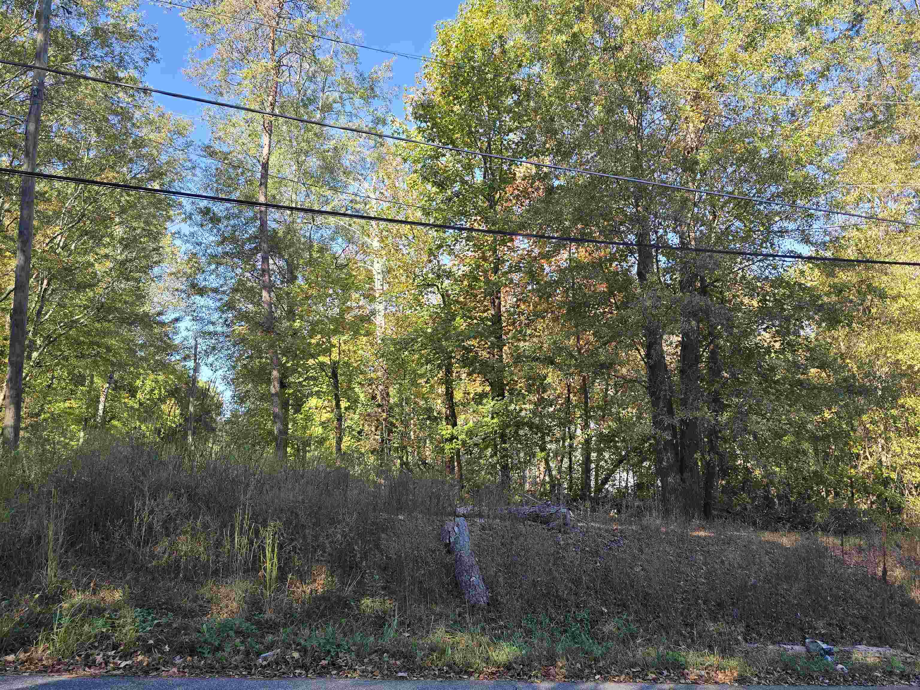 330069 Property Photo 3