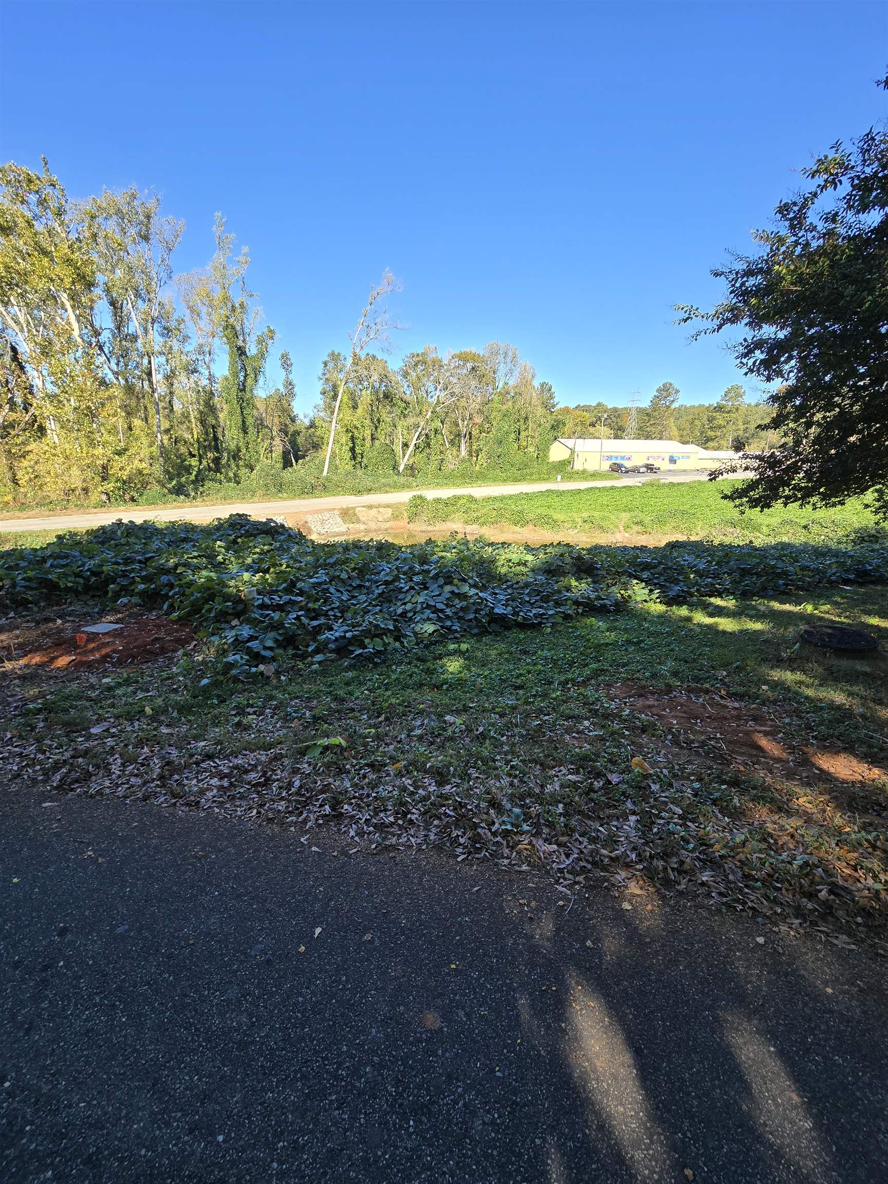 330069 Property Photo 7