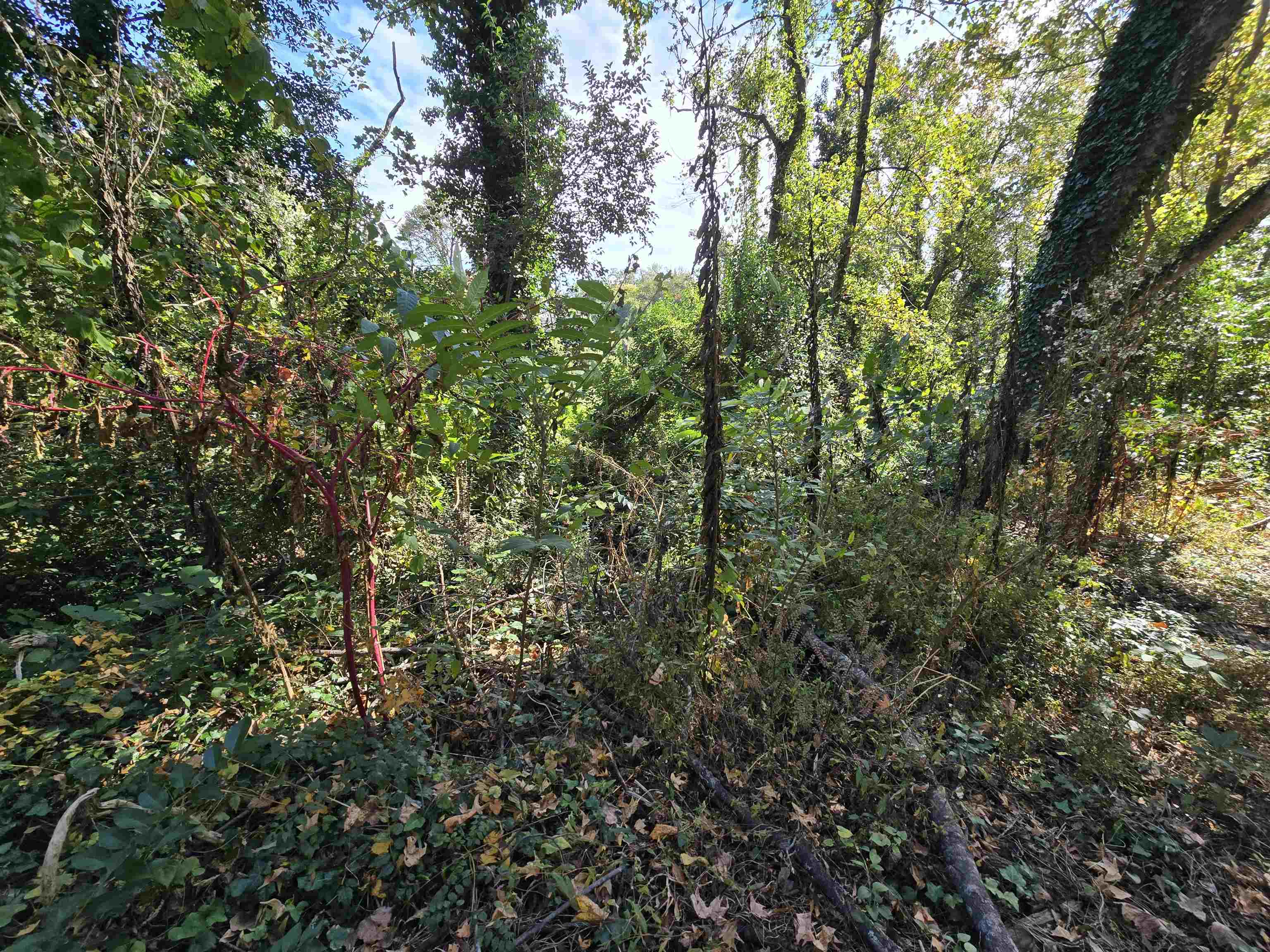 330069 Property Photo 8