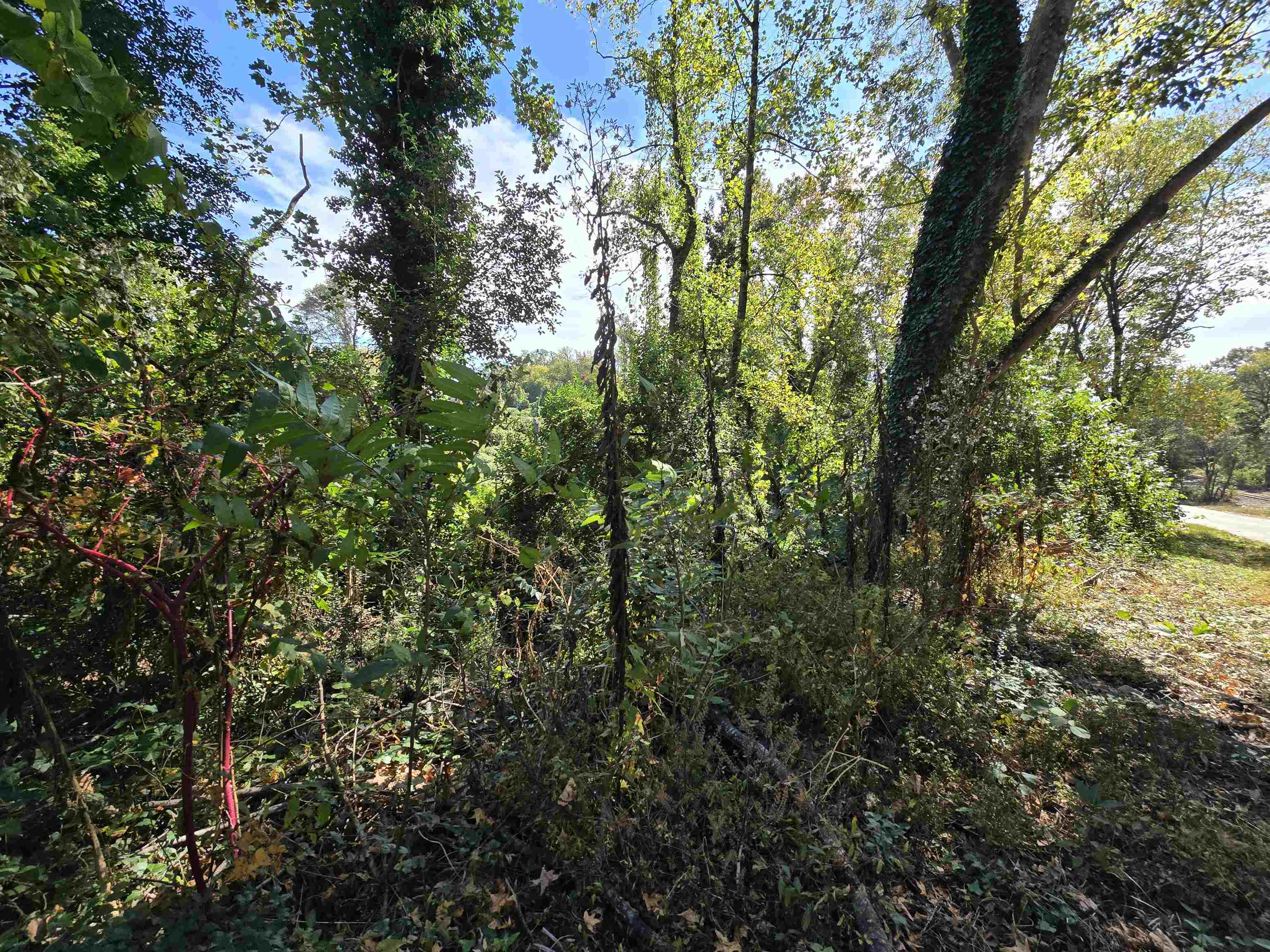 330069 Property Photo 9