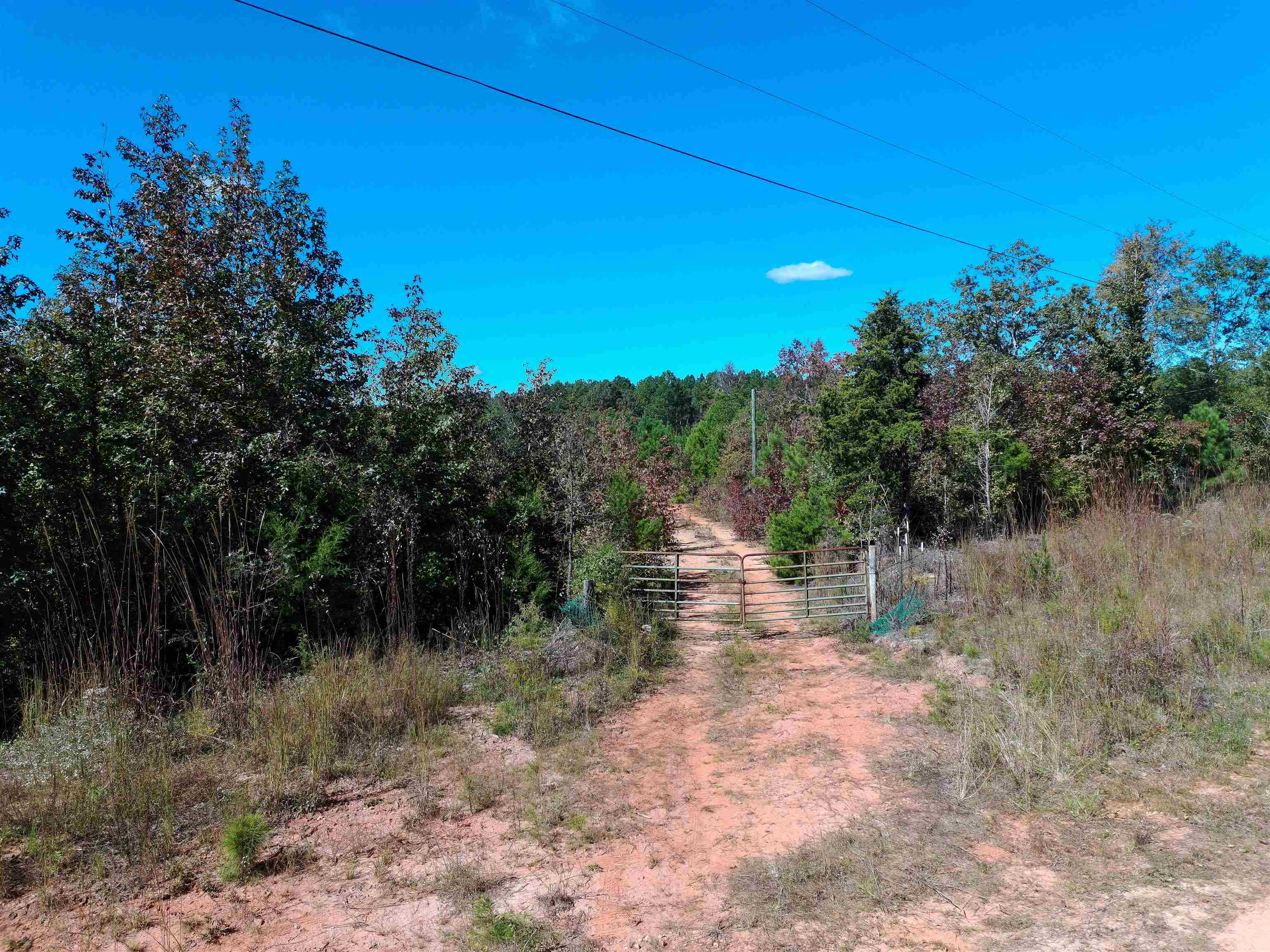 330133 Property Photo 1