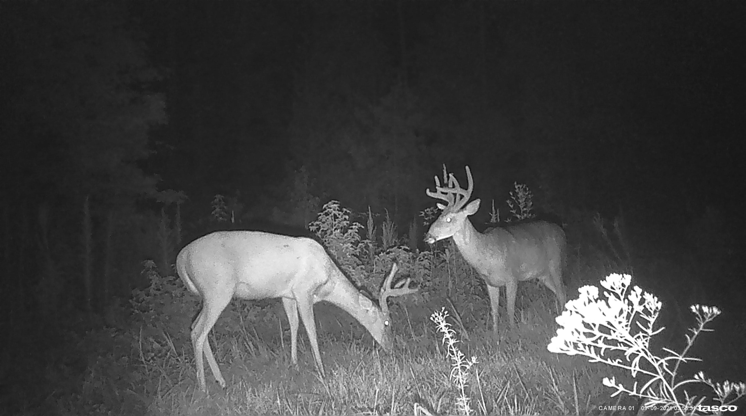 330133 Property Photo 4