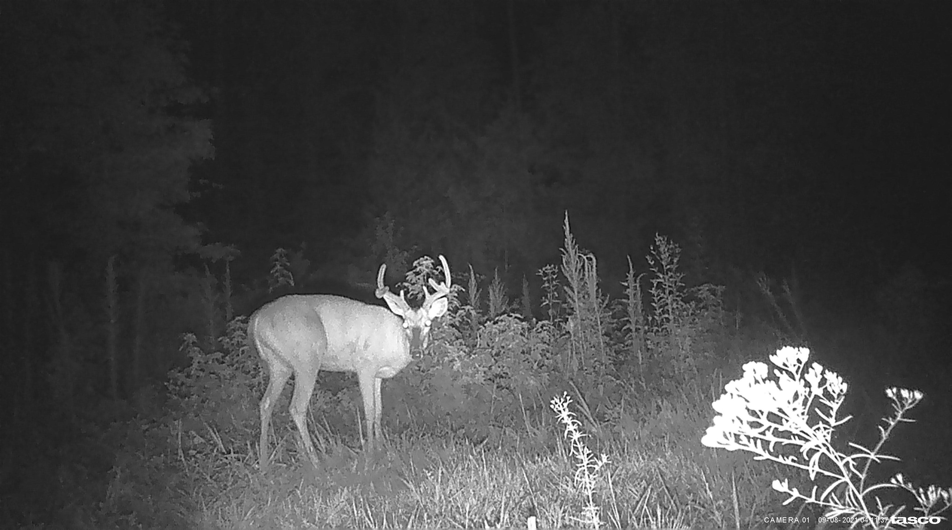 330133 Property Photo 5