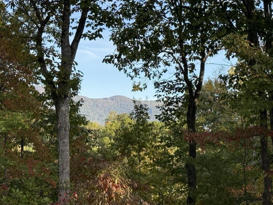 160 Caledonia Road Property Photo 2