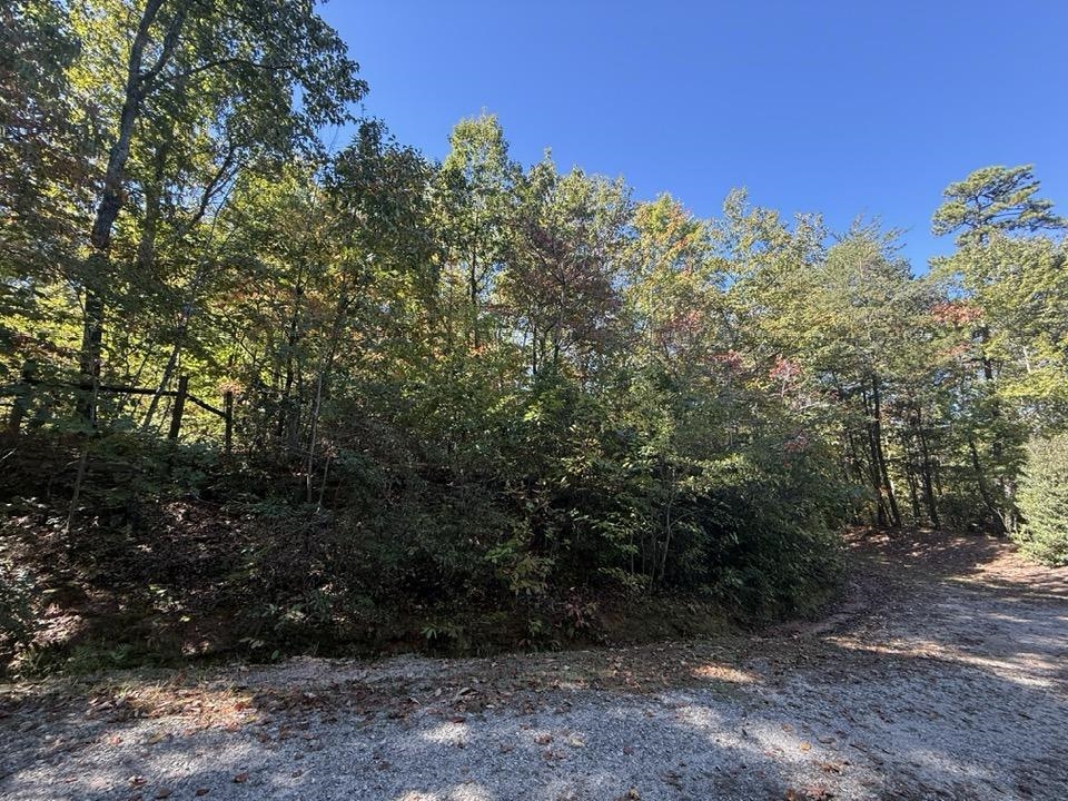 160 Caledonia Road Property Photo 38