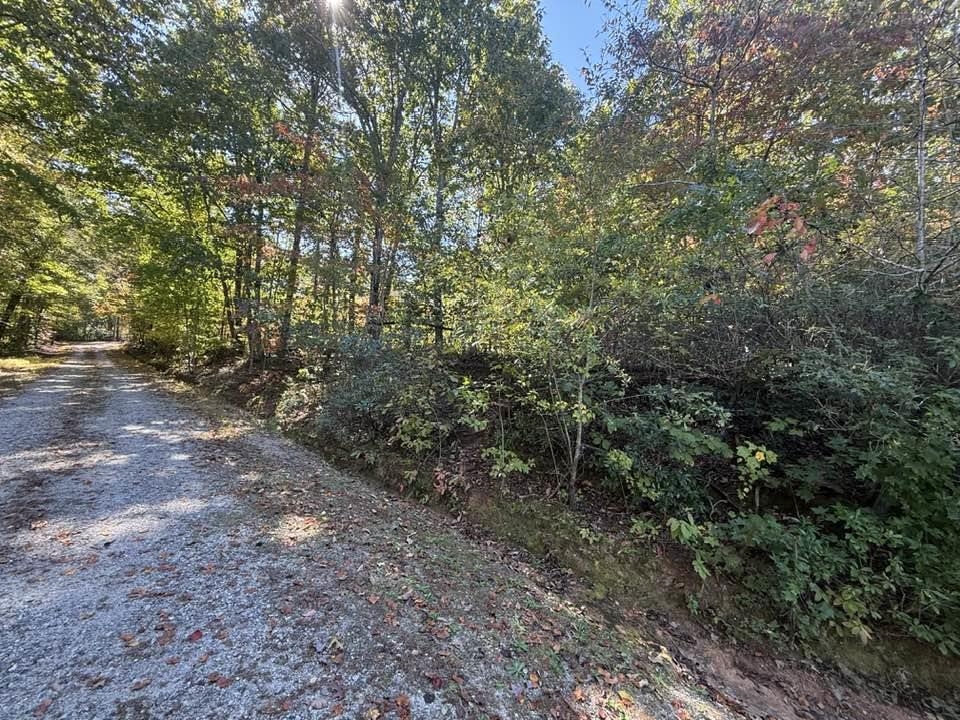 160 Caledonia Road Property Photo 44