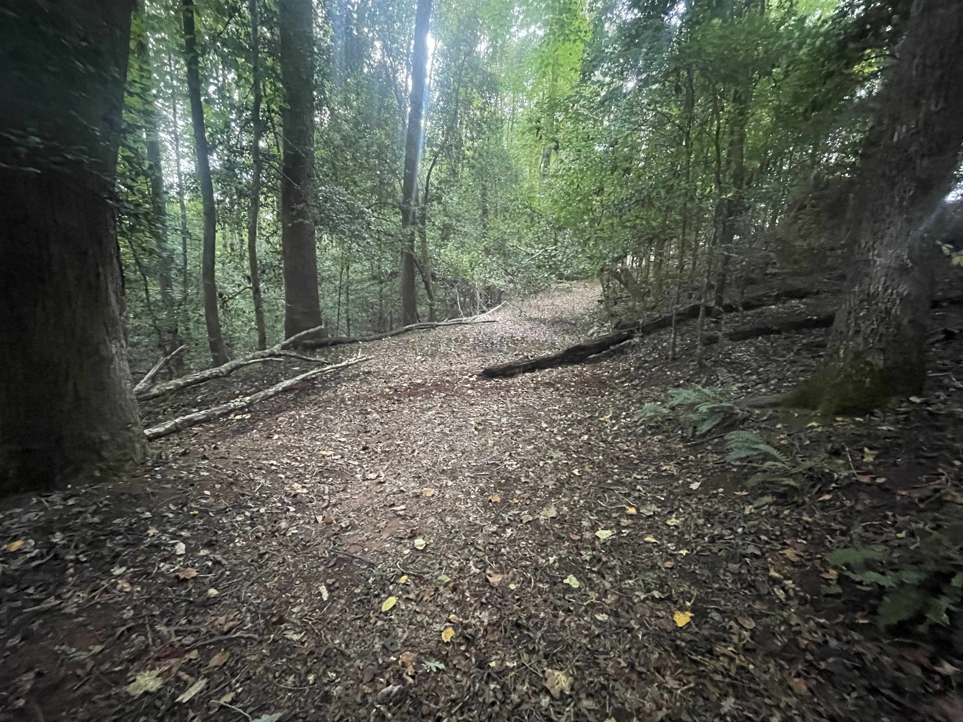 330270 Property Photo 2