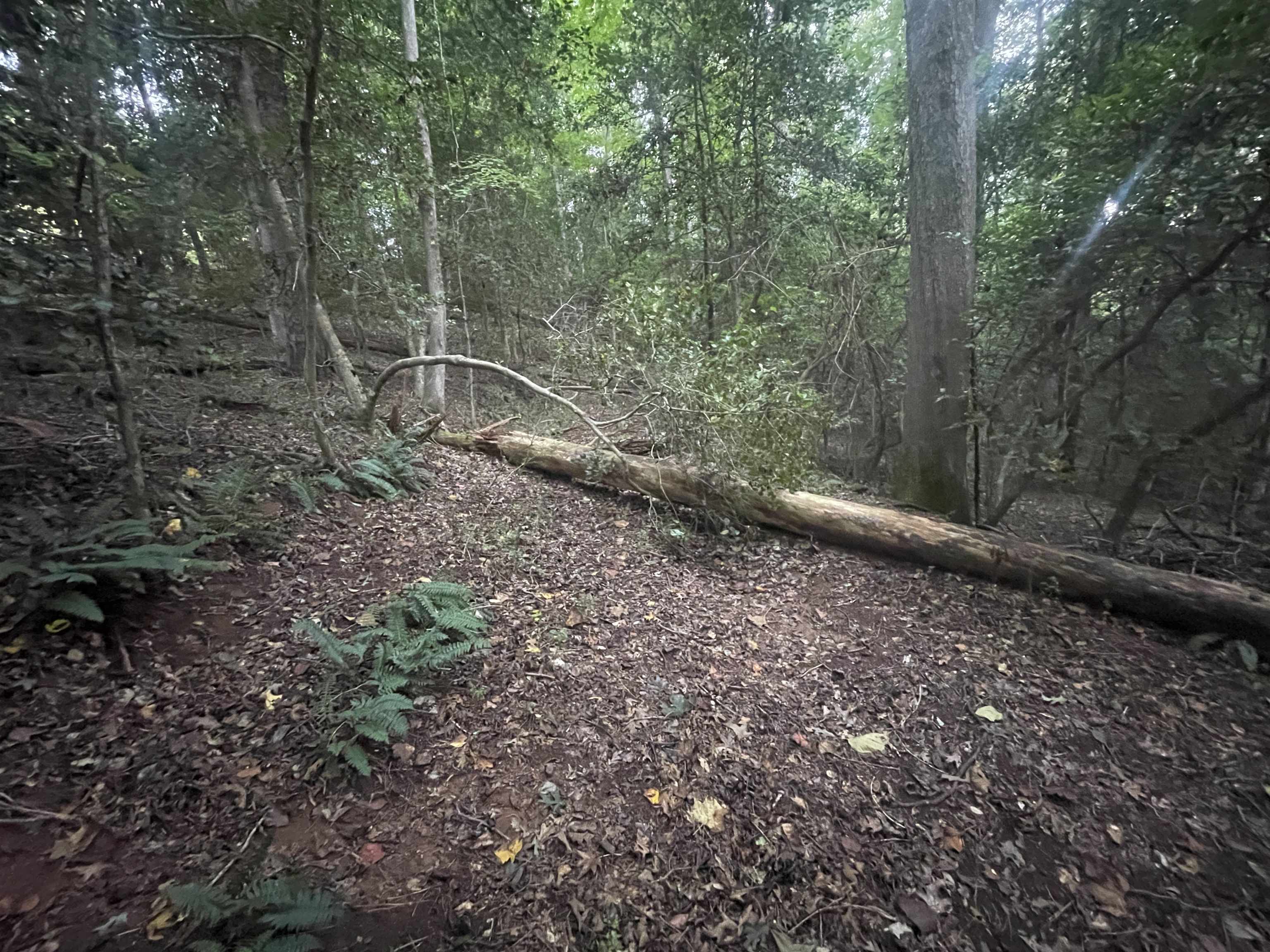 330270 Property Photo 2