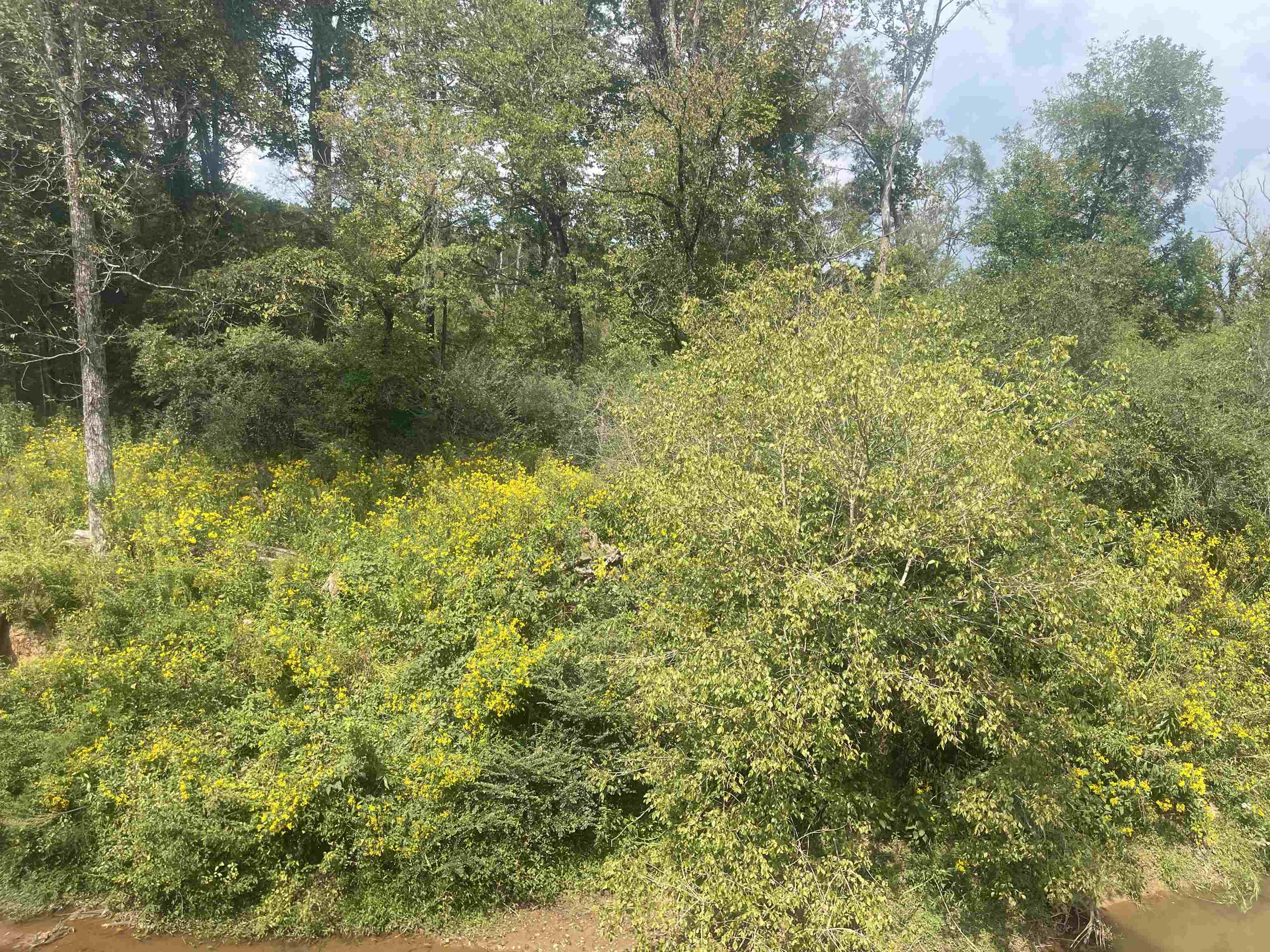 330270 Property Photo 4