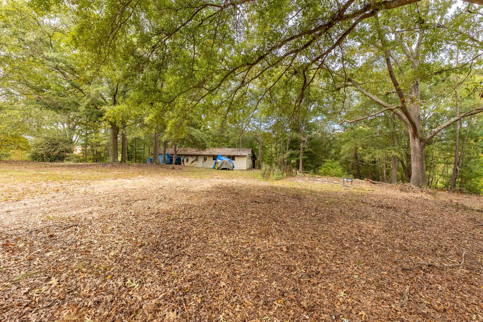 330329 Property Photo 14