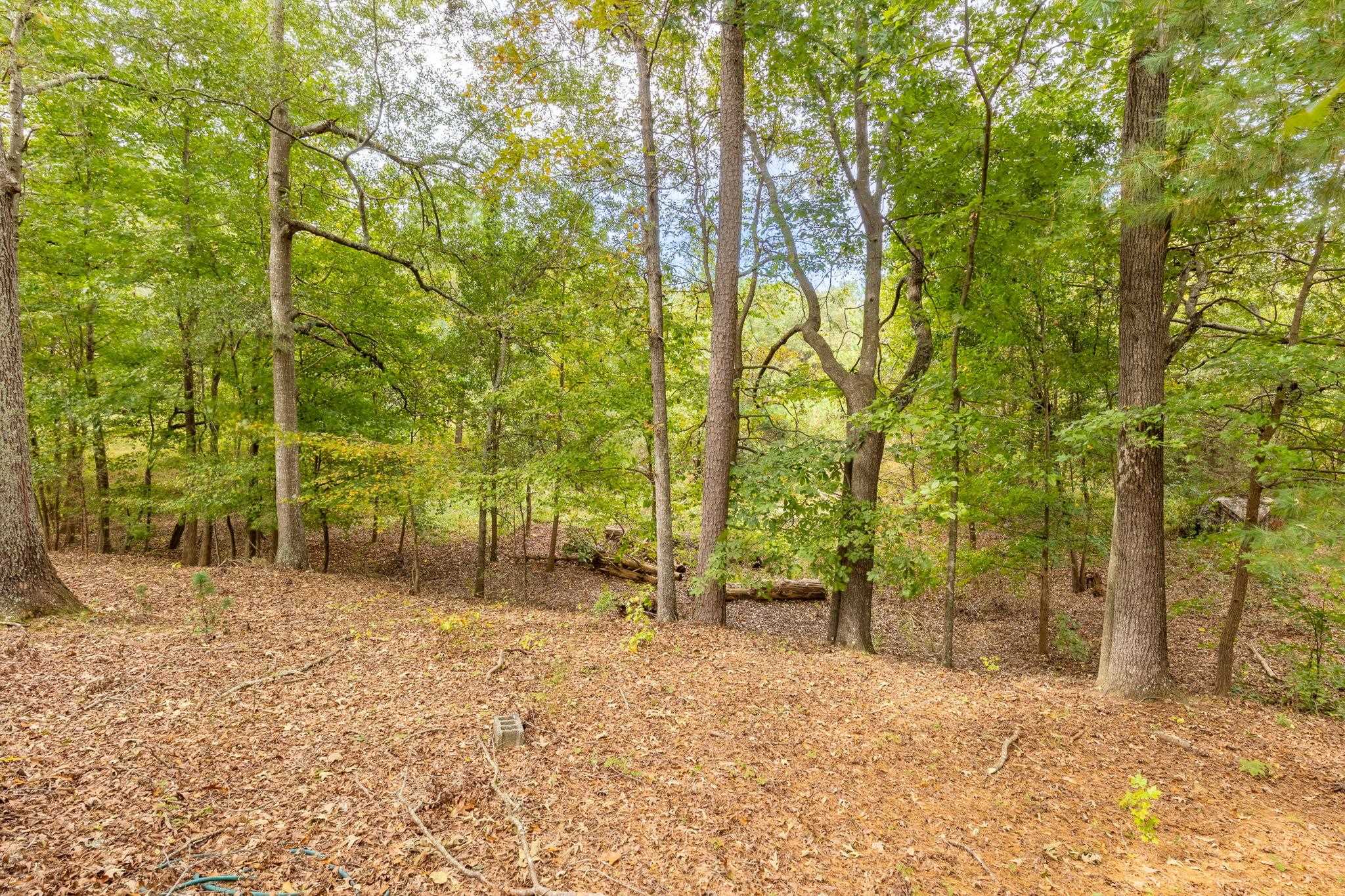 330329 Property Photo 15