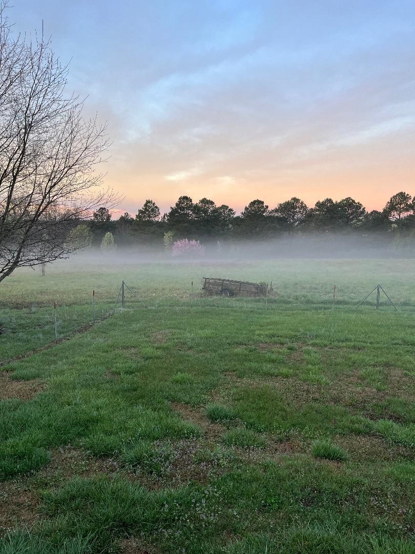 1071 Little Mountain Road Property Photo 29