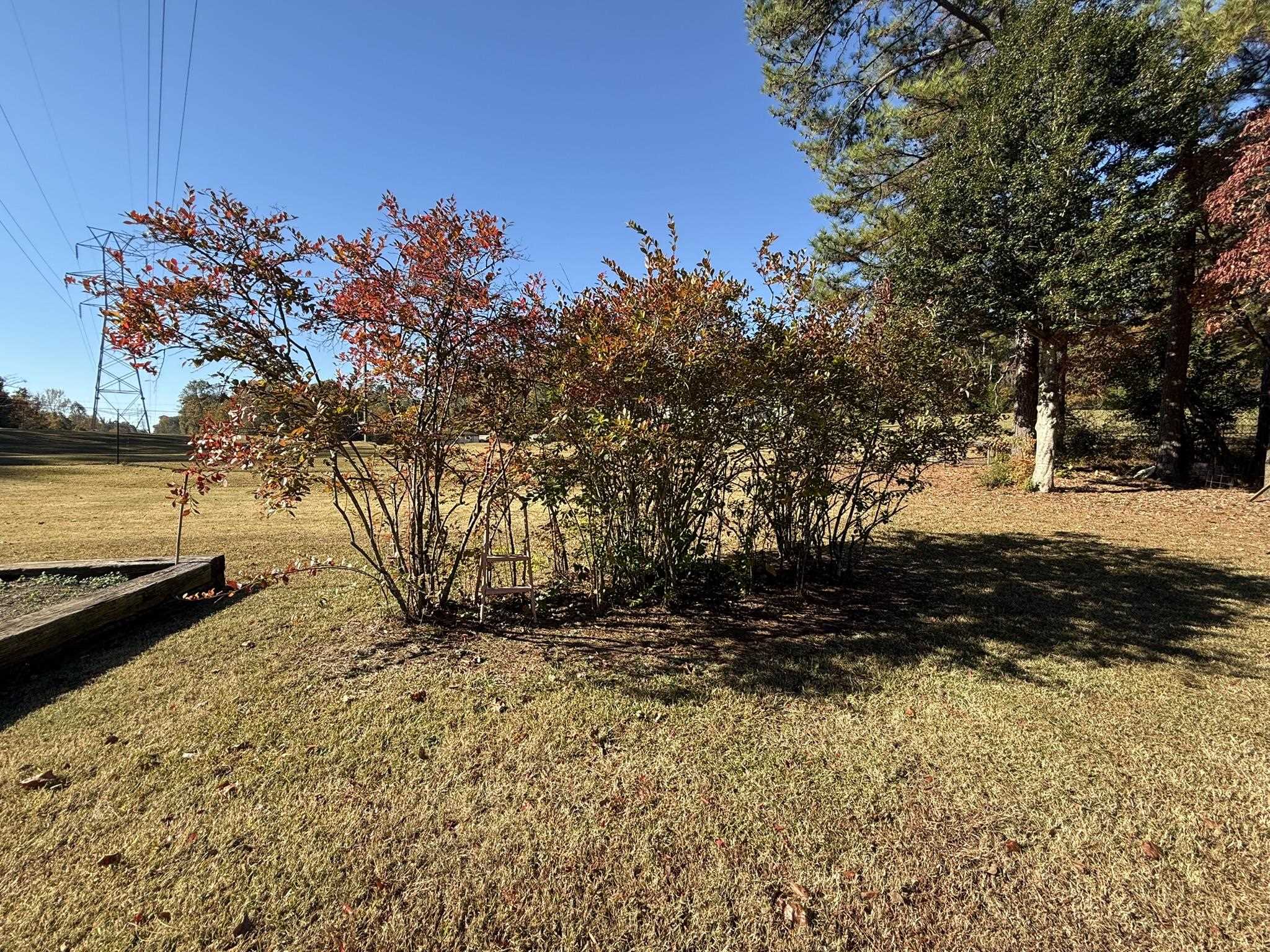 305 Misty Lane Property Photo 35