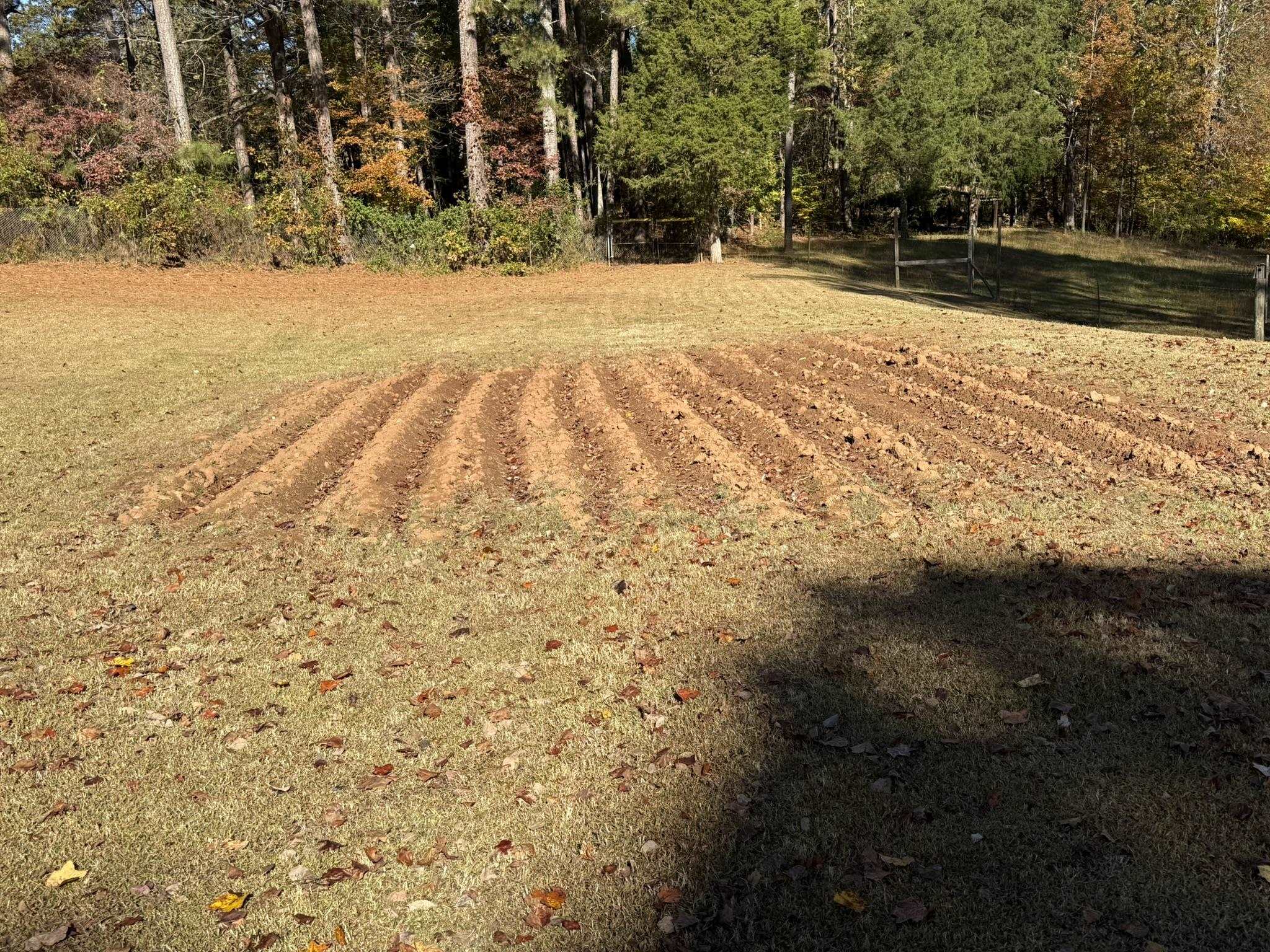 305 Misty Lane Property Photo 36