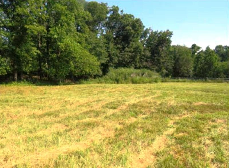 850 Springdale Road Property Photo 33
