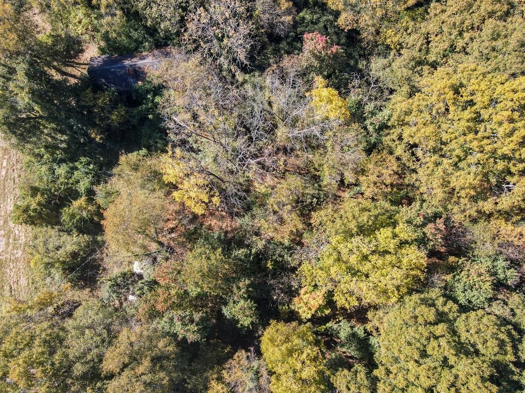 330739 Property Photo 18