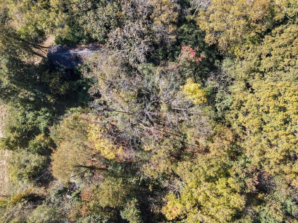 330739 Property Photo 19