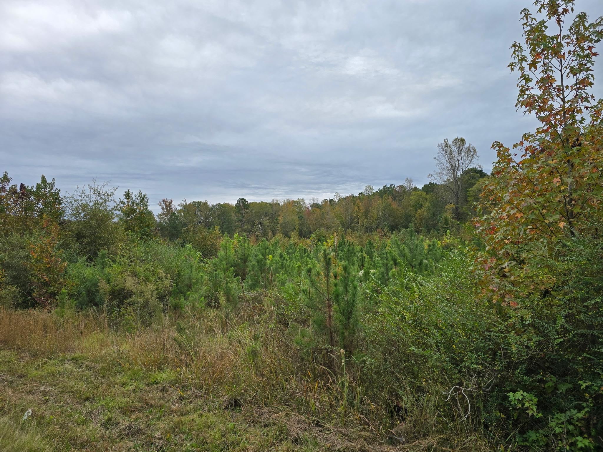 331032 Property Photo 1