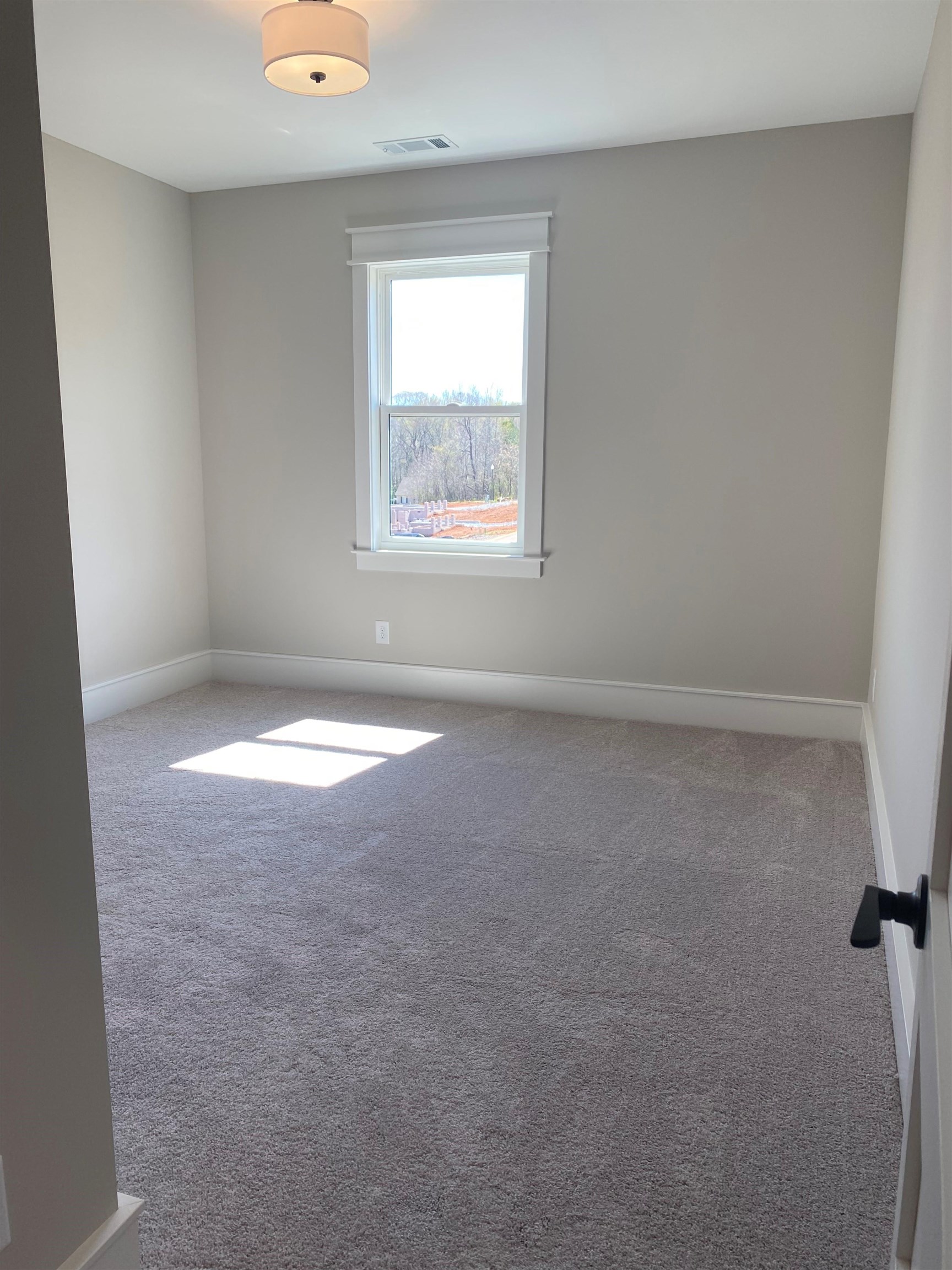 804 Batten Cottage Court Property Photo 16